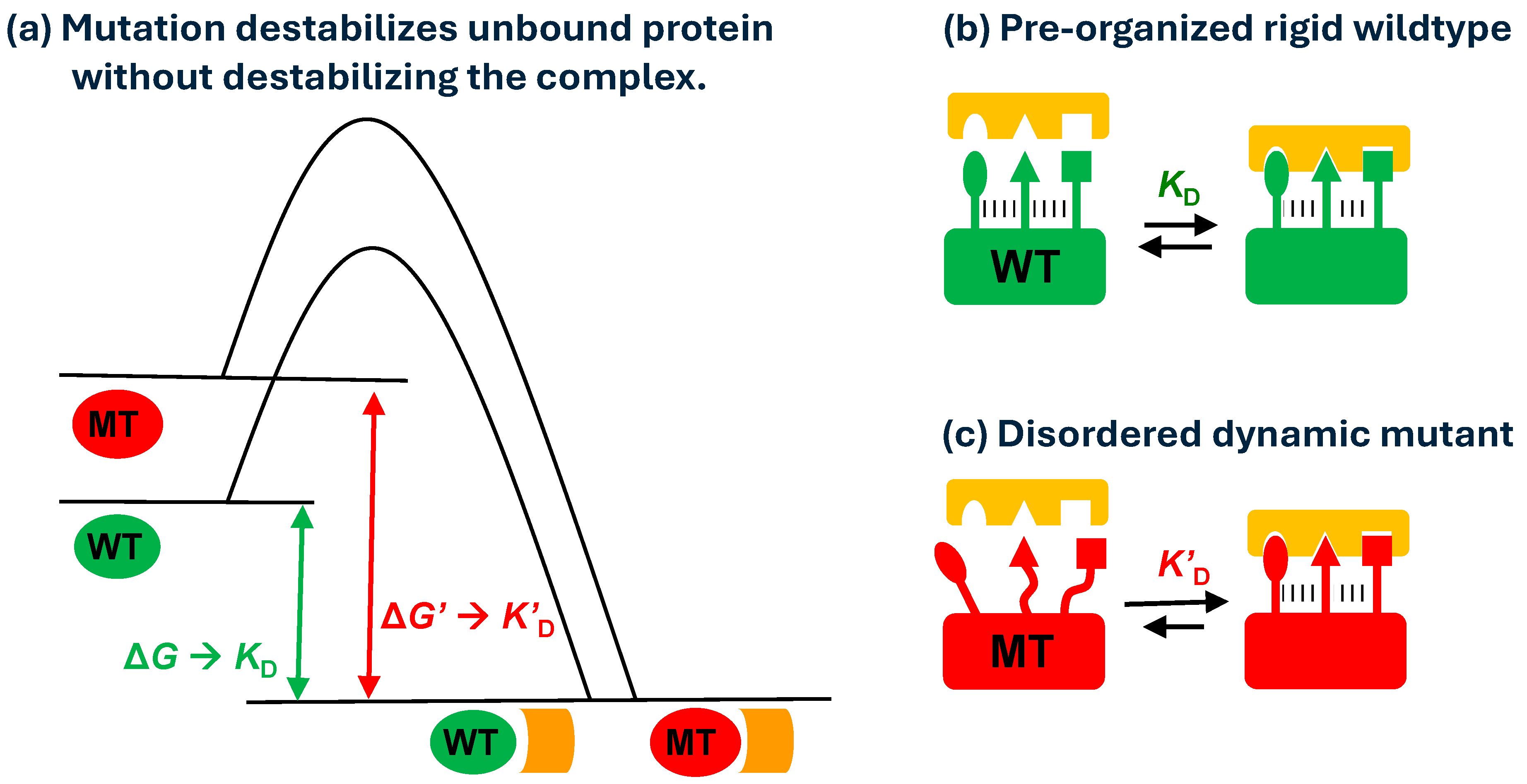 Biomolecules 15 01201 g005 Biomolecules 15 01201 g005