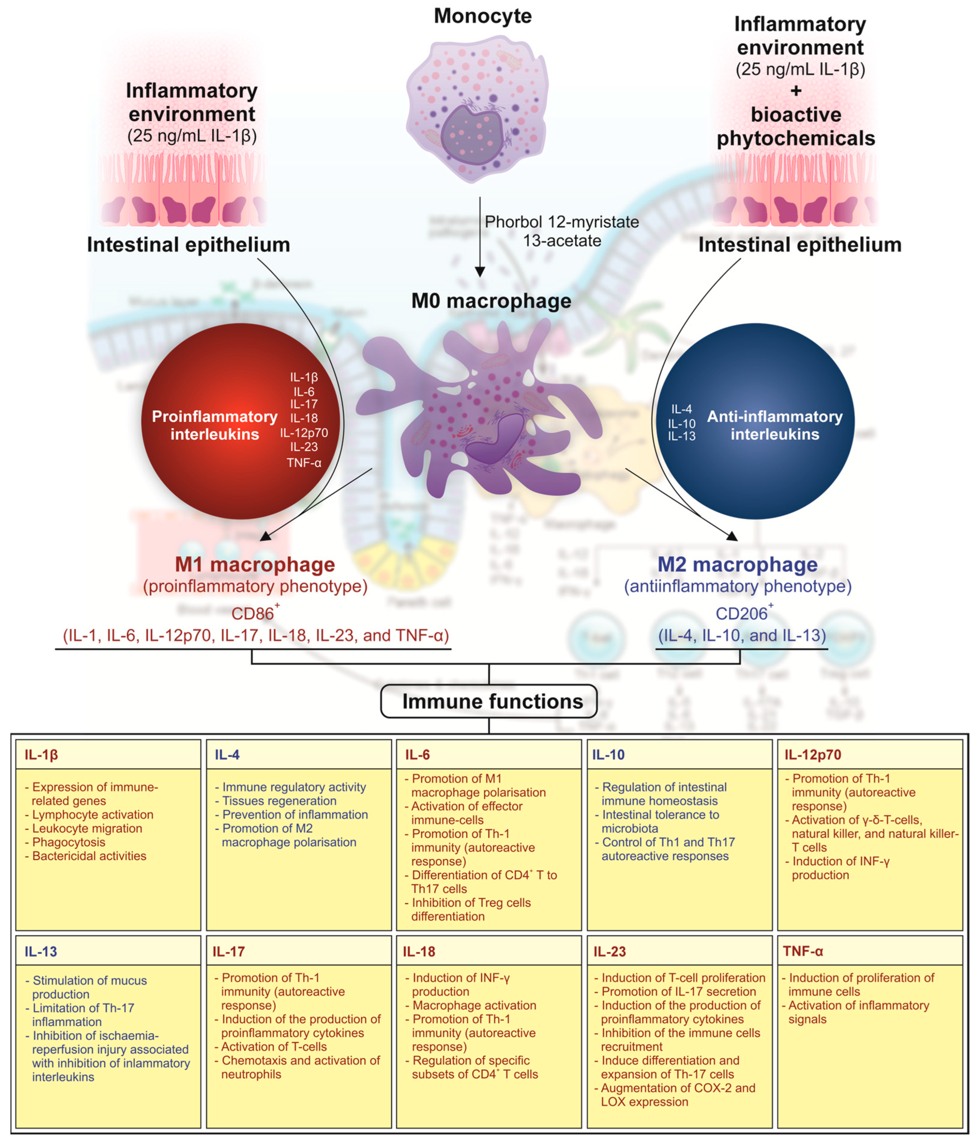 Biomolecules 15 01208 g001 Biomolecules 15 01208 g001