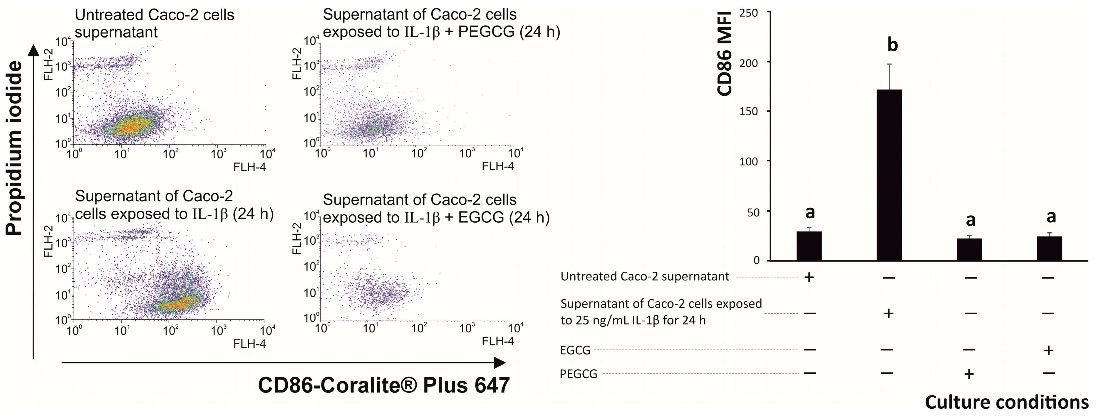 Biomolecules 15 01208 g005 Biomolecules 15 01208 g005