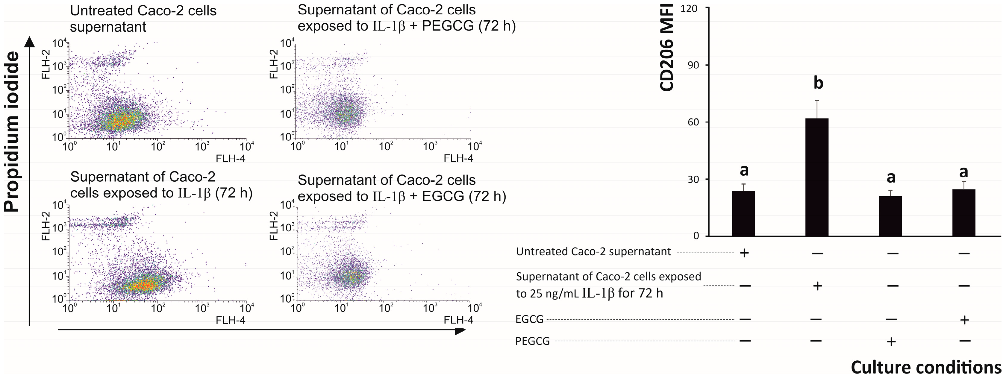 Biomolecules 15 01208 g007 Biomolecules 15 01208 g007