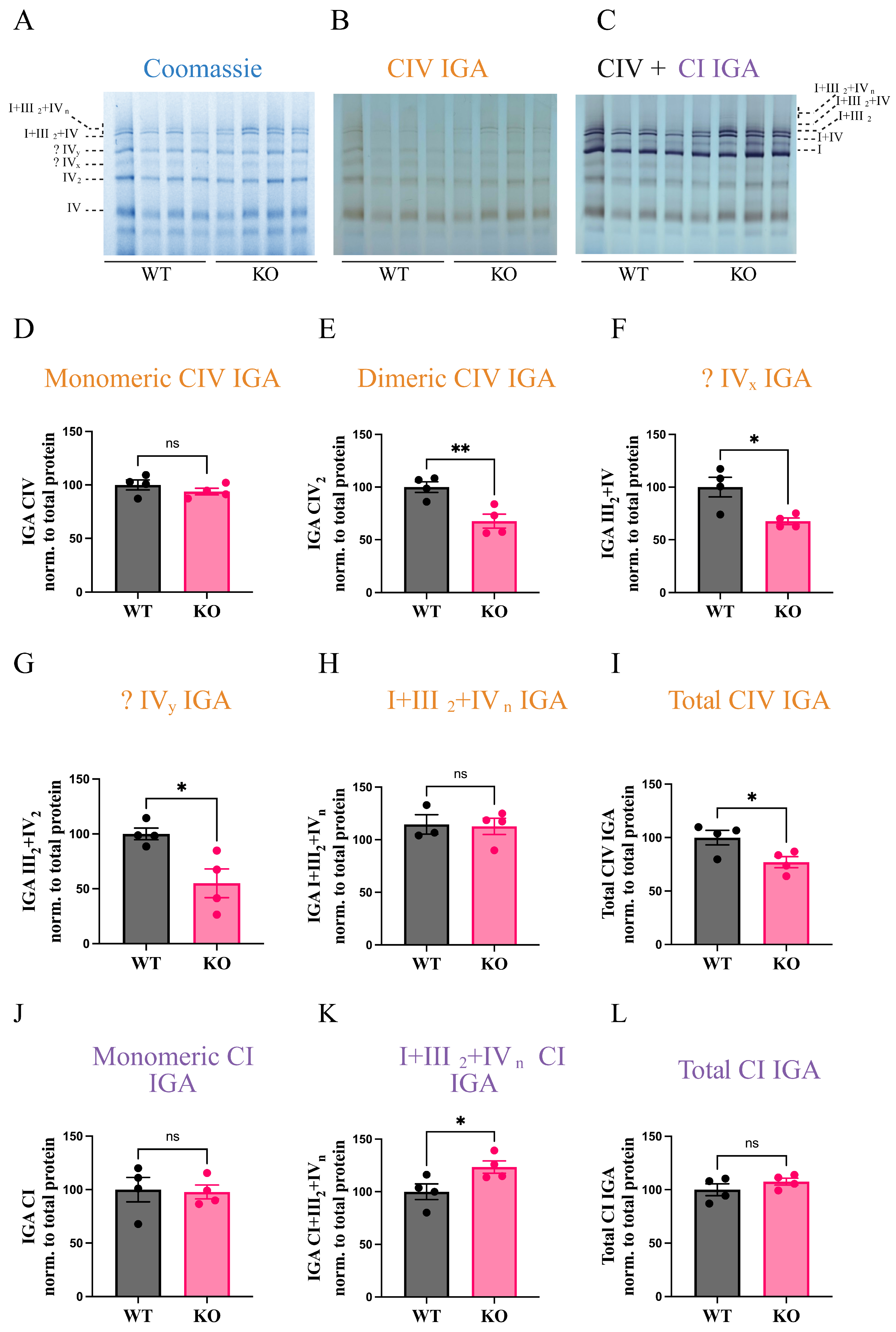 Biomolecules 15 01209 g001