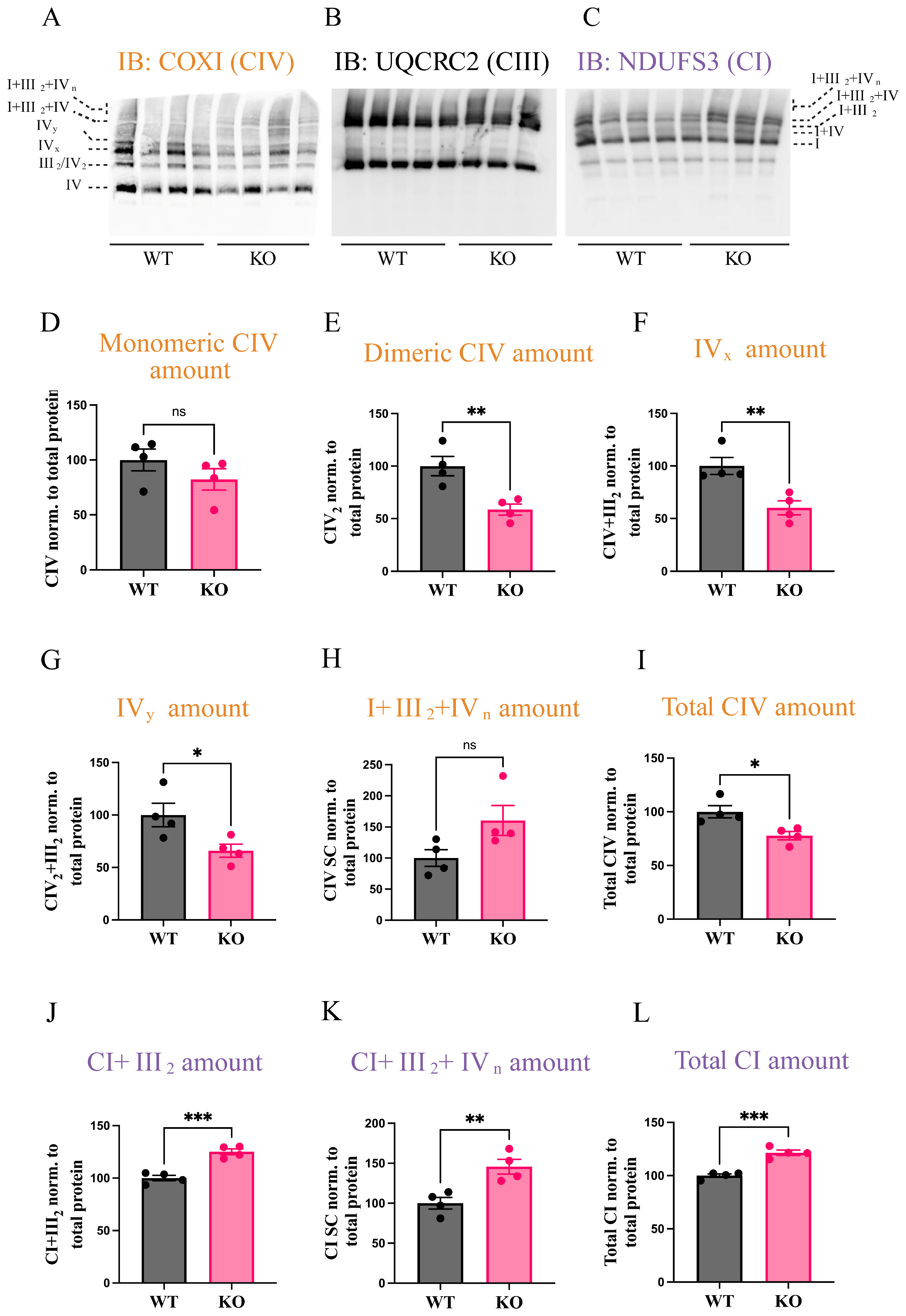 Biomolecules 15 01209 g003
