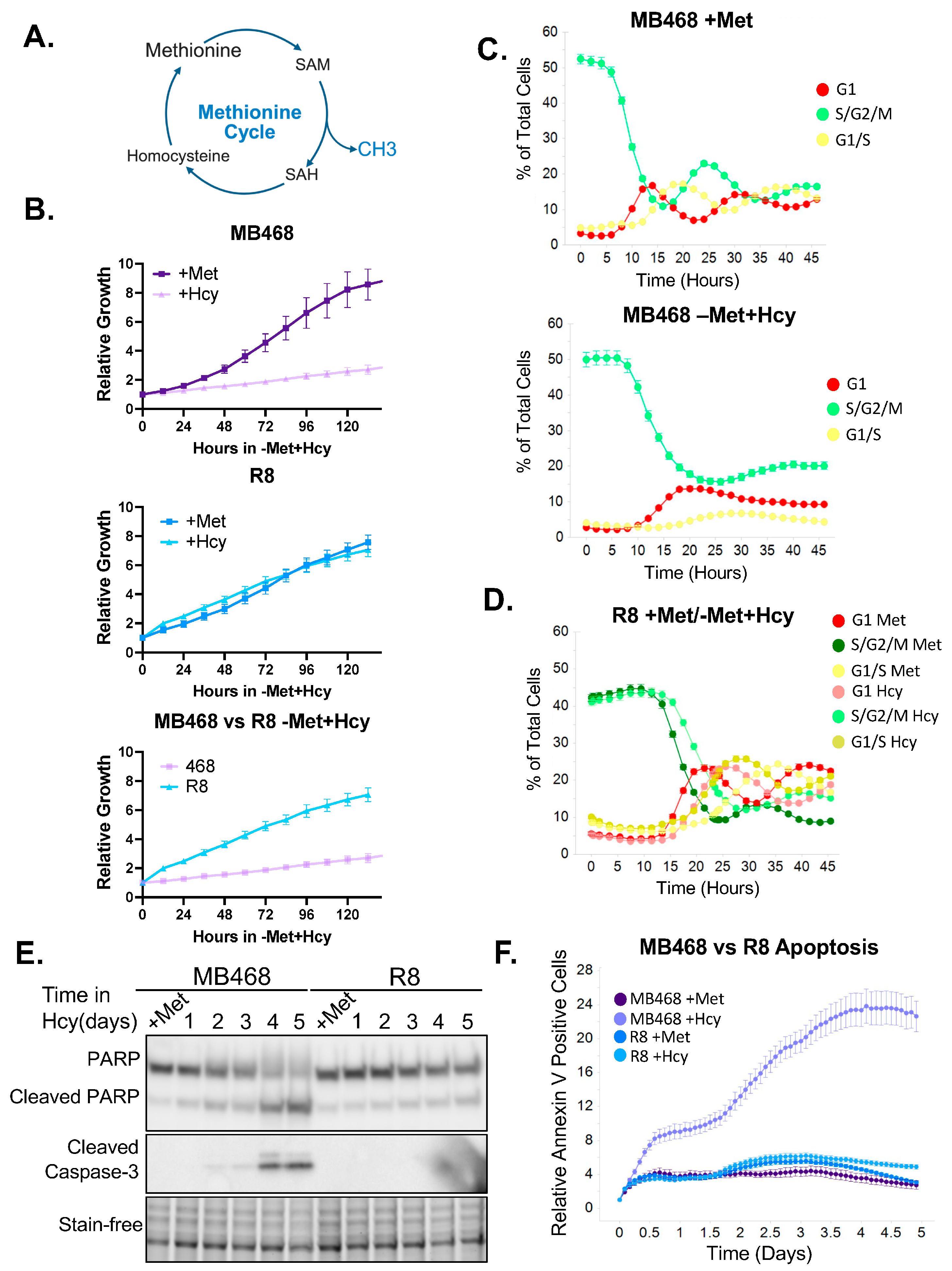 Biomolecules 15 01210 g001