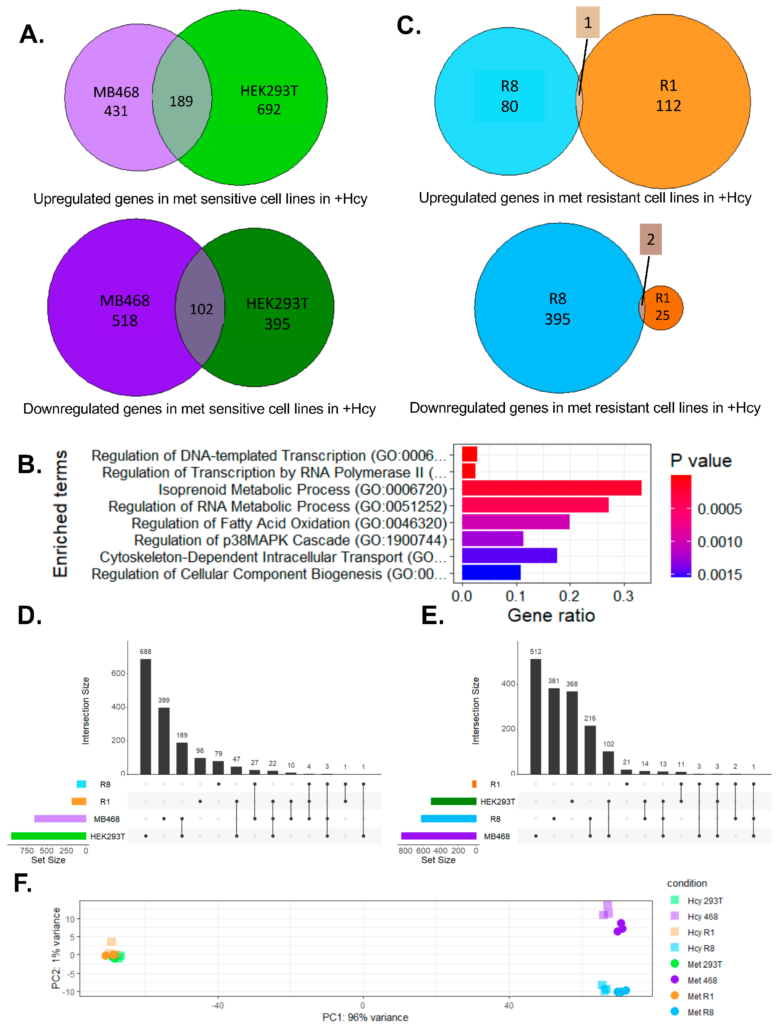 Biomolecules 15 01210 g002