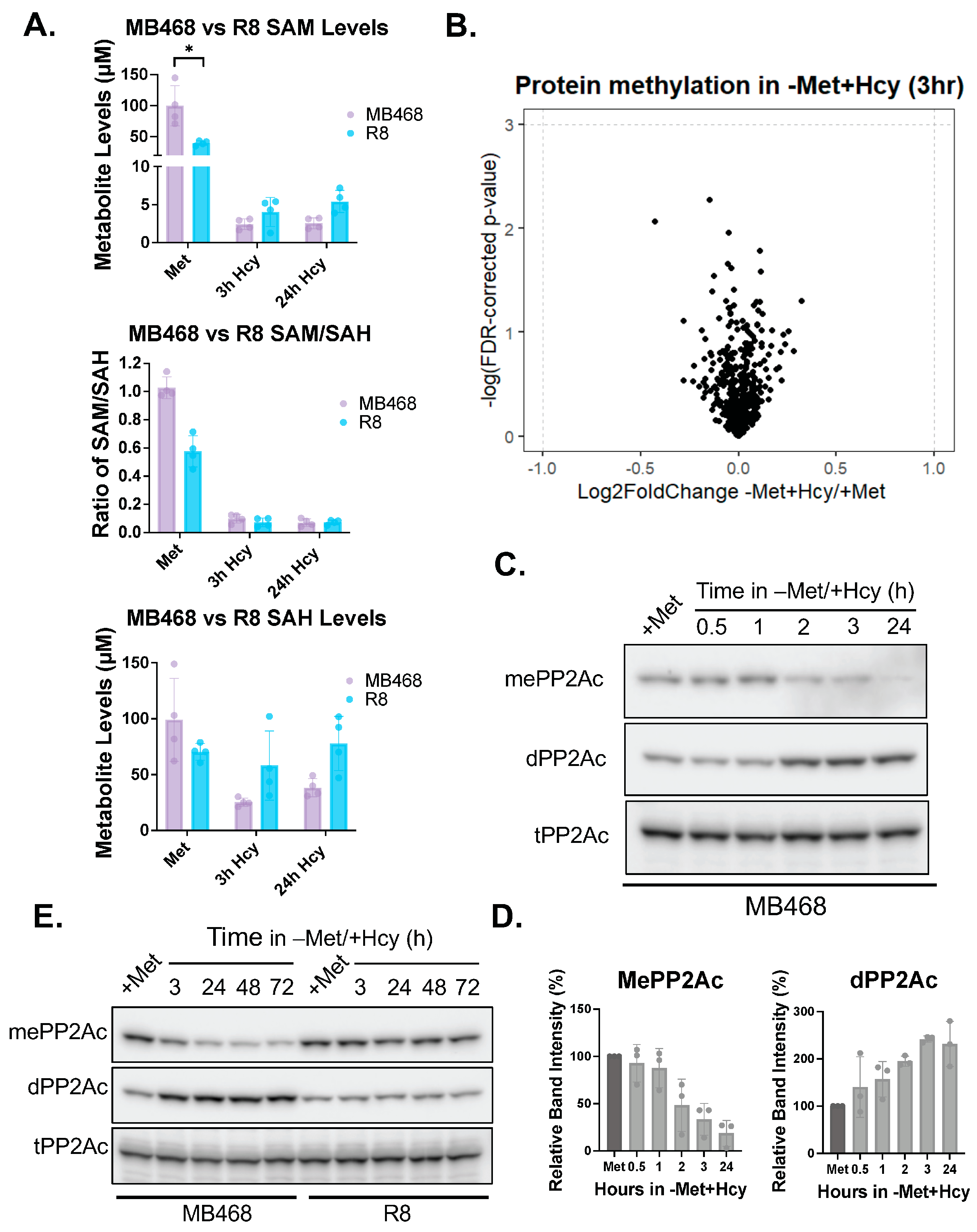 Biomolecules 15 01210 g003