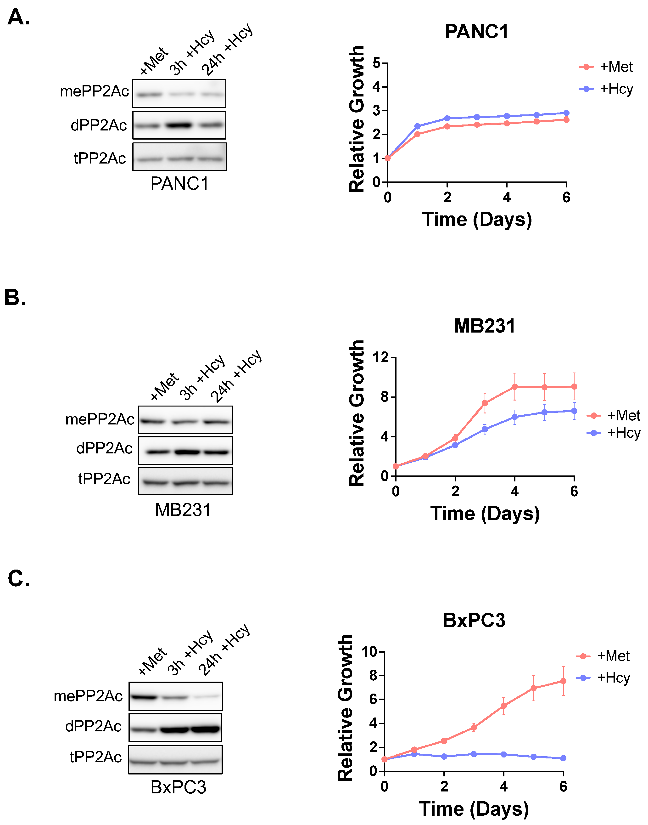 Biomolecules 15 01210 g004