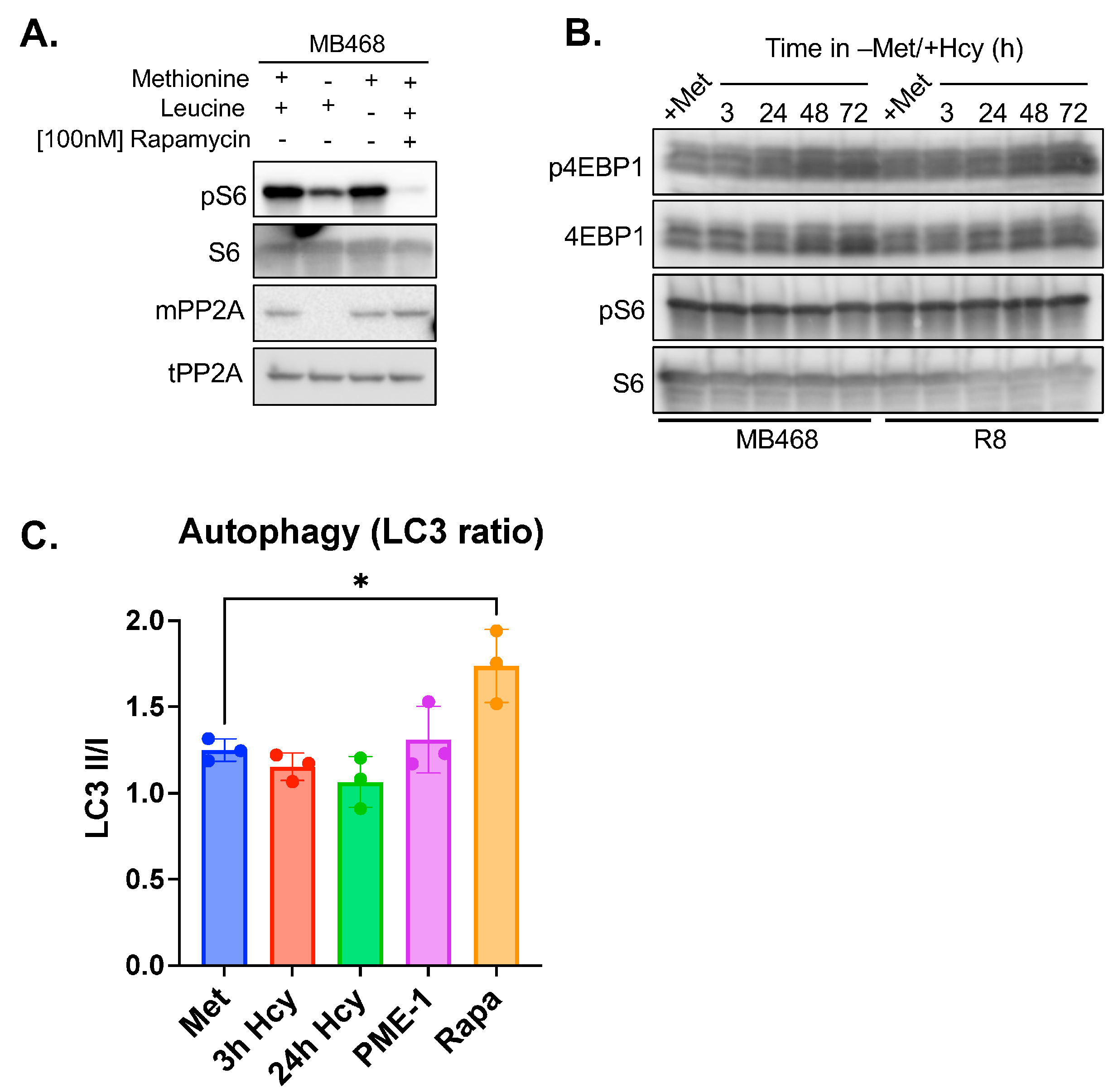 Biomolecules 15 01210 g005