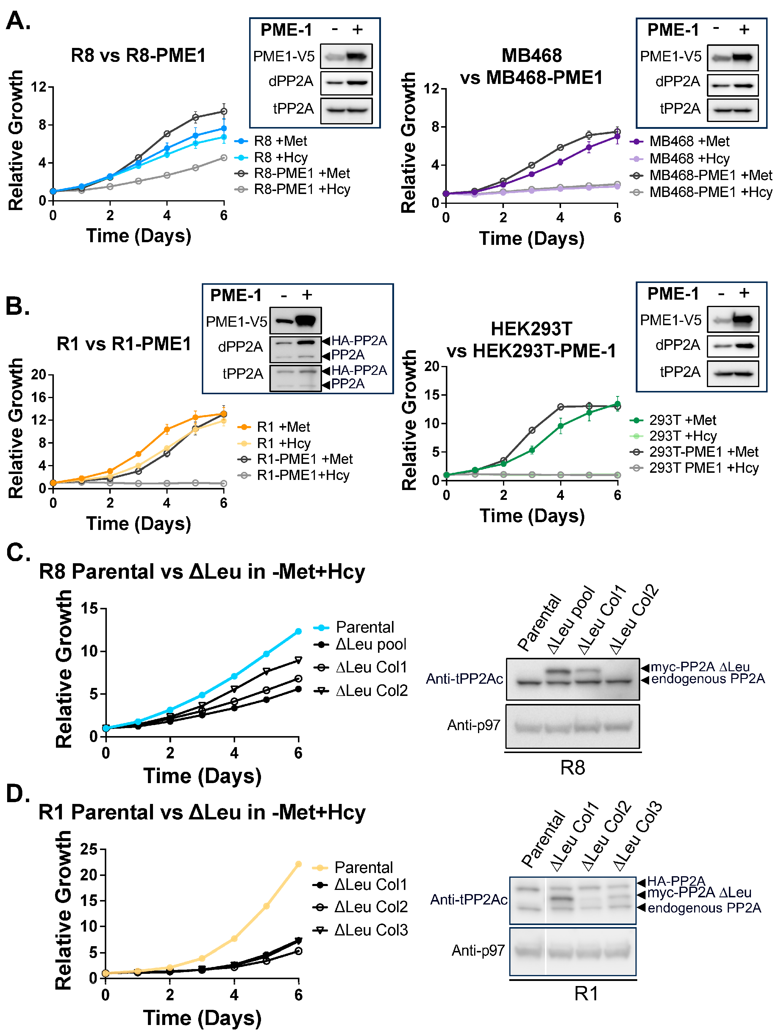 Biomolecules 15 01210 g006