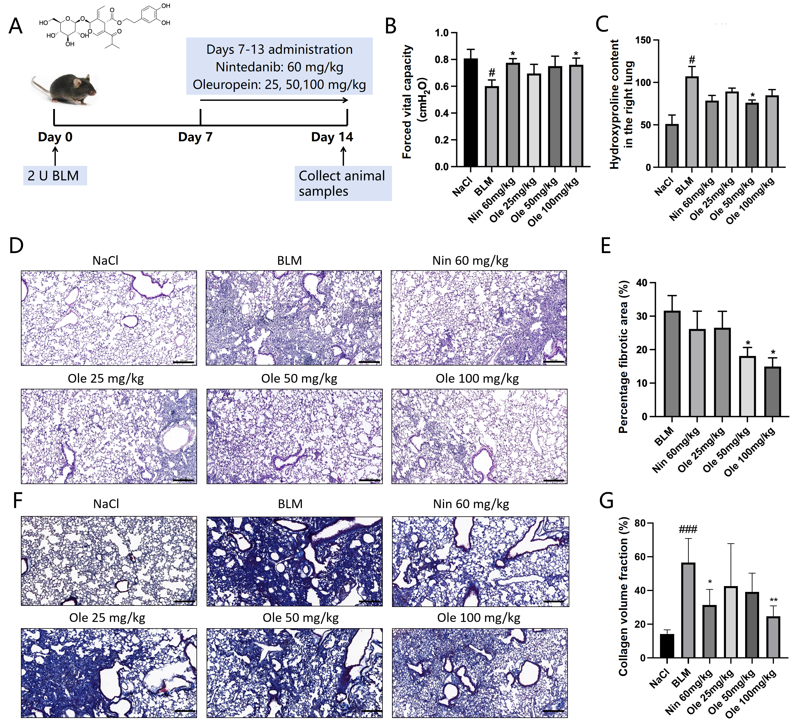Biomolecules 15 01211 g001