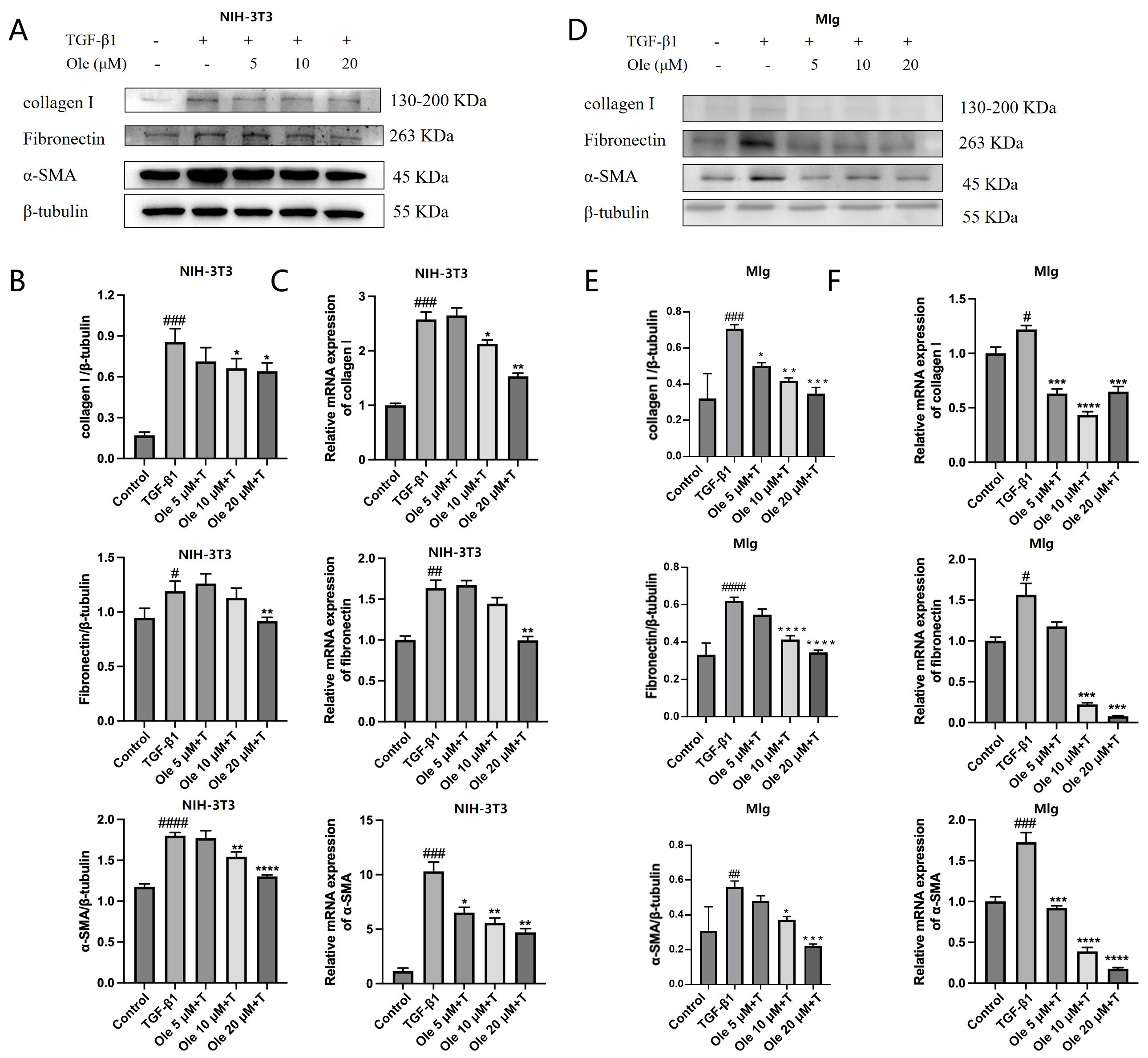 Biomolecules 15 01211 g003