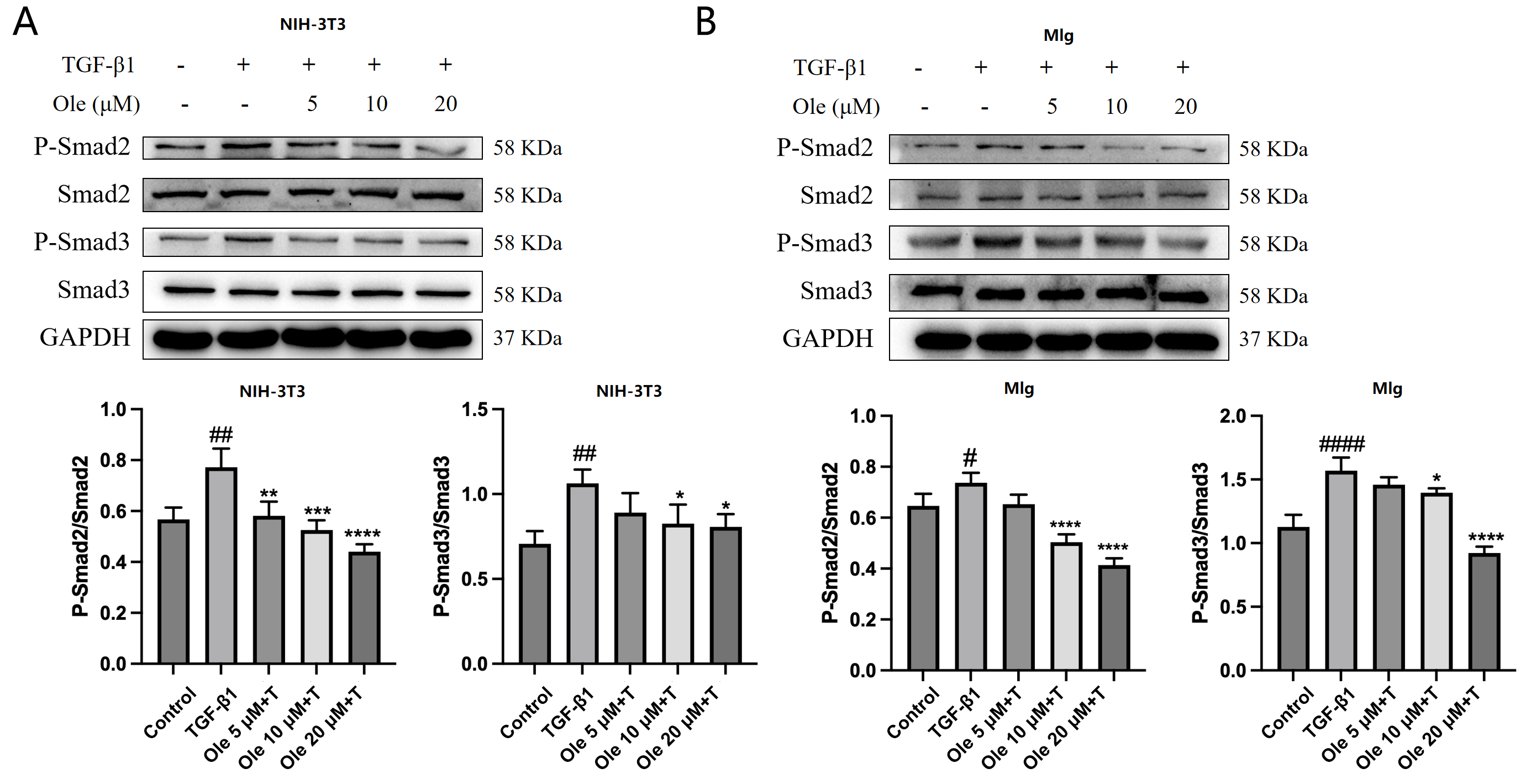 Biomolecules 15 01211 g004