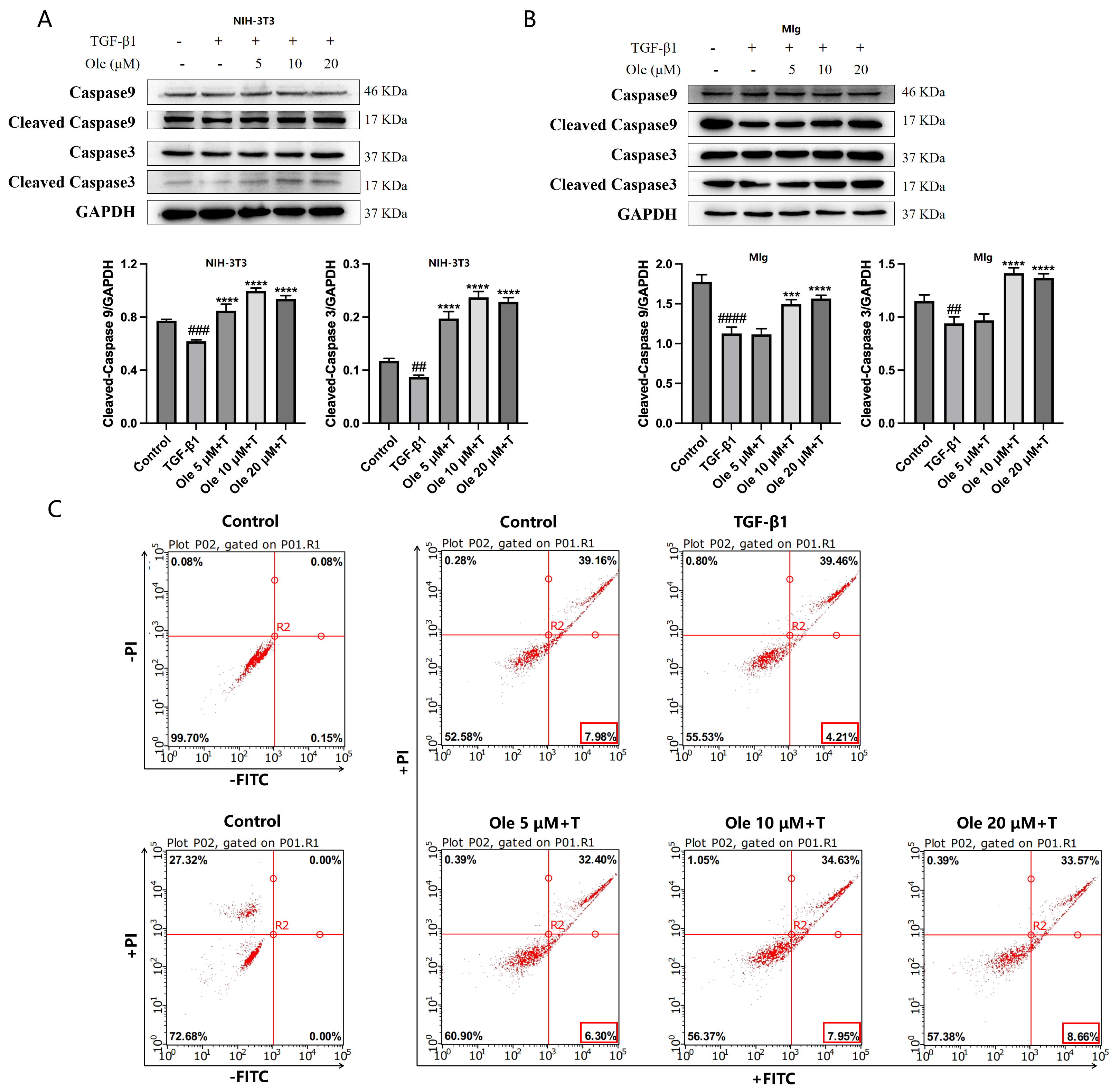 Biomolecules 15 01211 g006