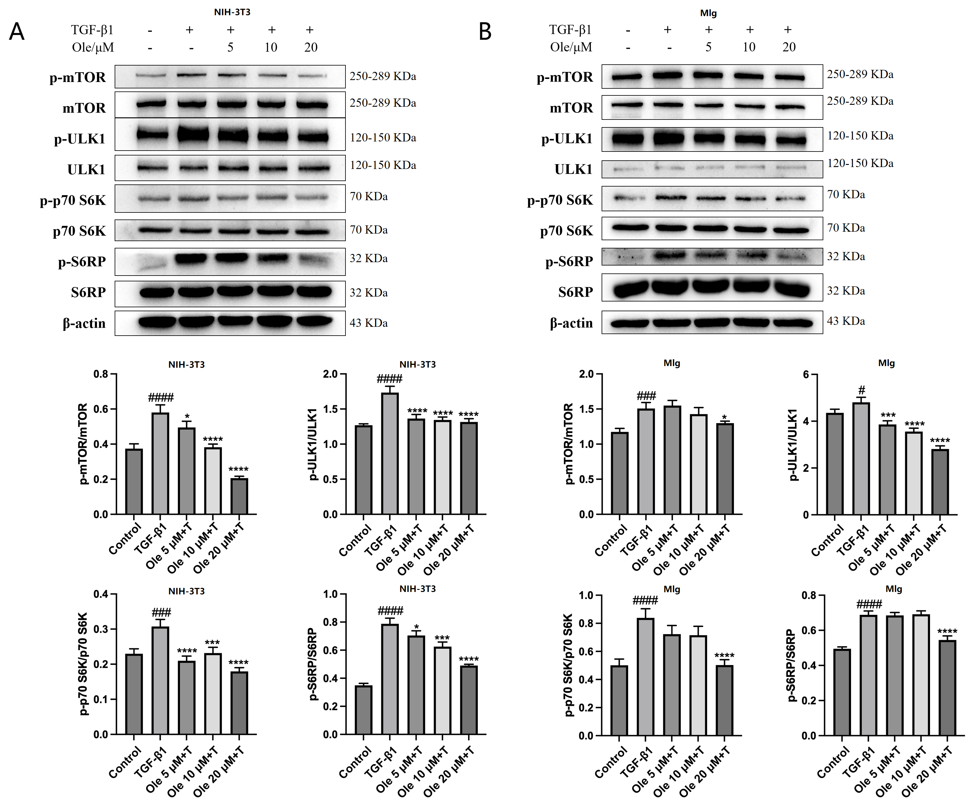 Biomolecules 15 01211 g007