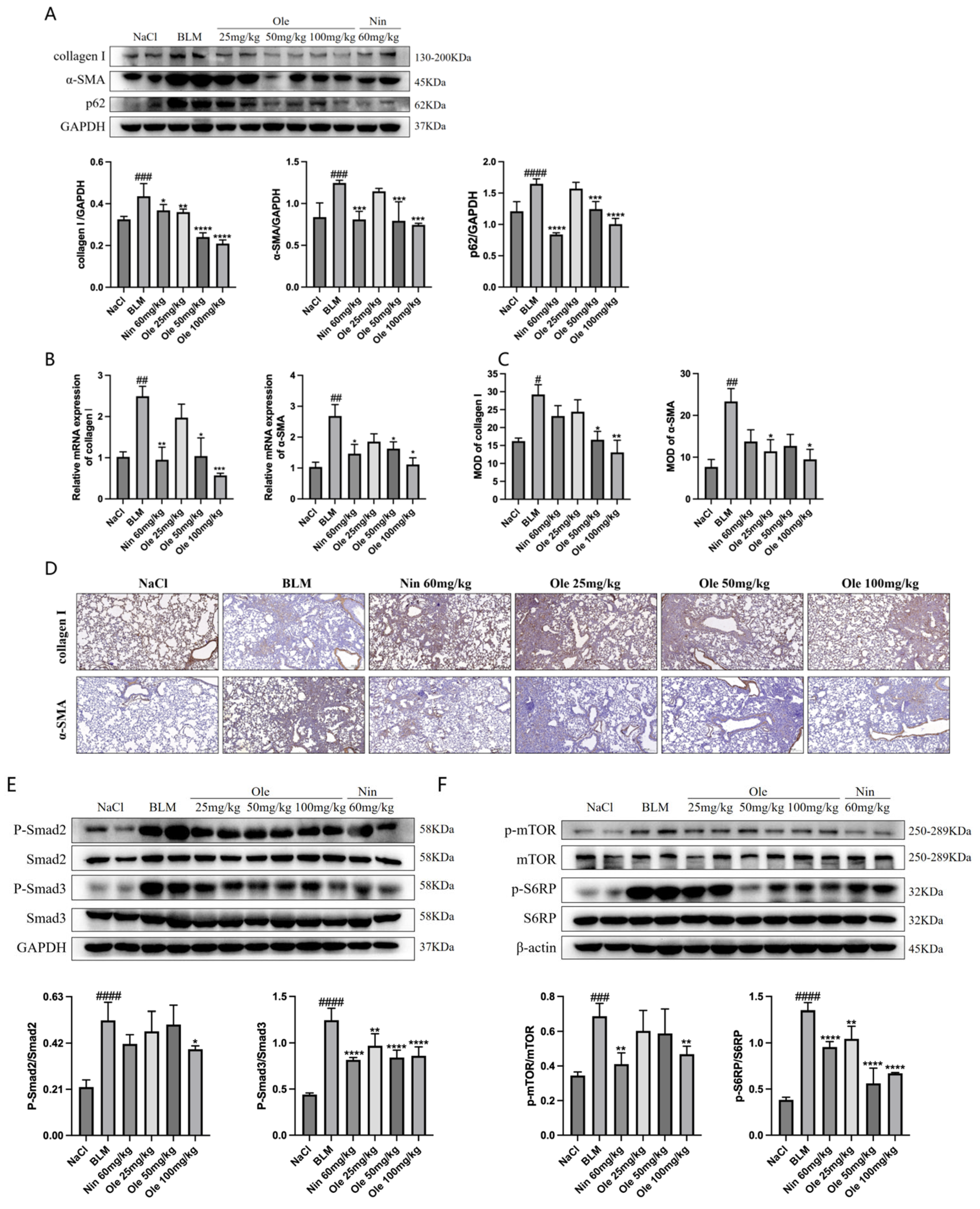 Biomolecules 15 01211 g008