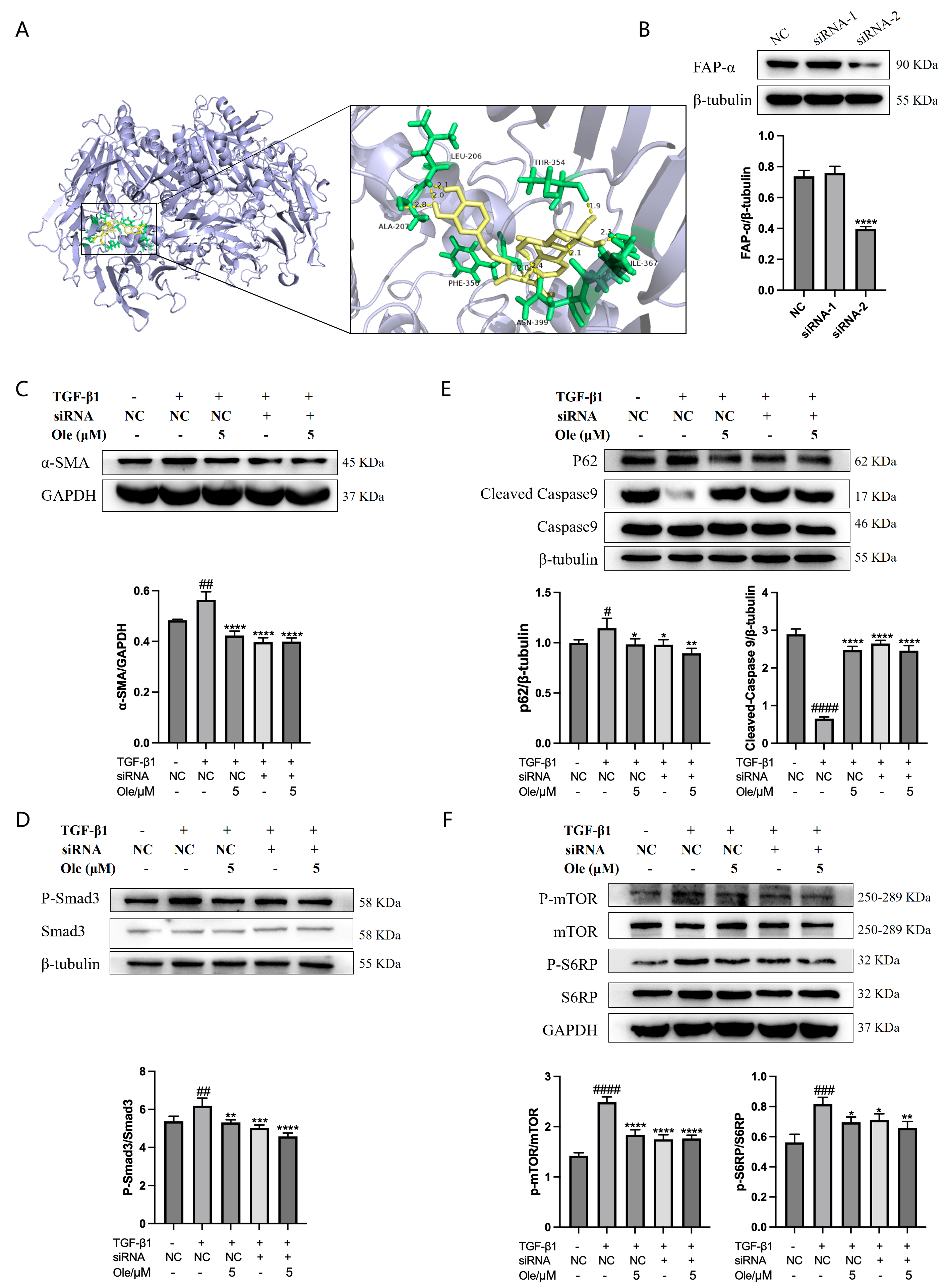 Biomolecules 15 01211 g009