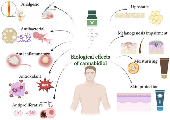 Cannabidiol in Skin Health: A Comprehensive Review of Topical Applications  in Dermatology and Cosmetic Science