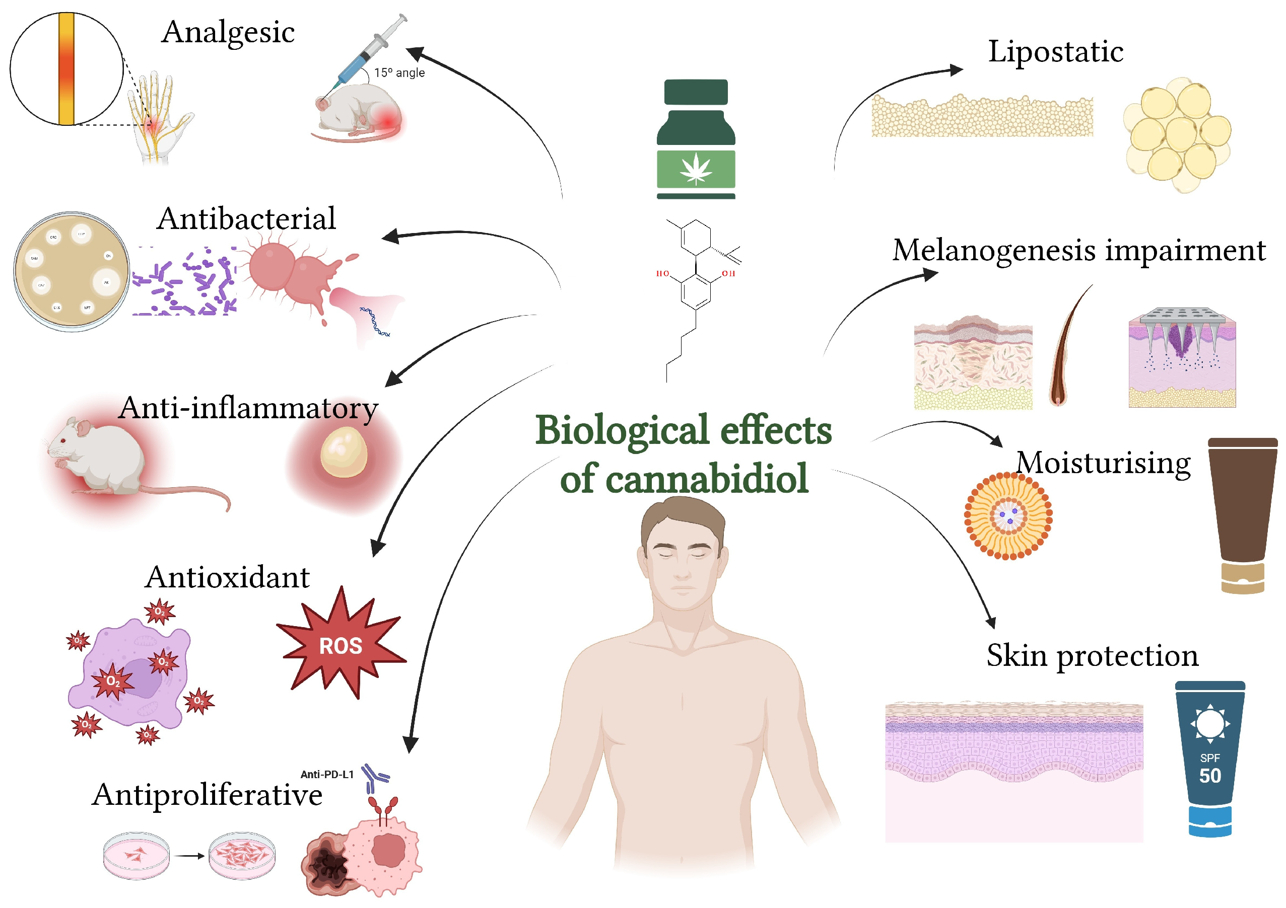 Biomolecules 15 01219 g005