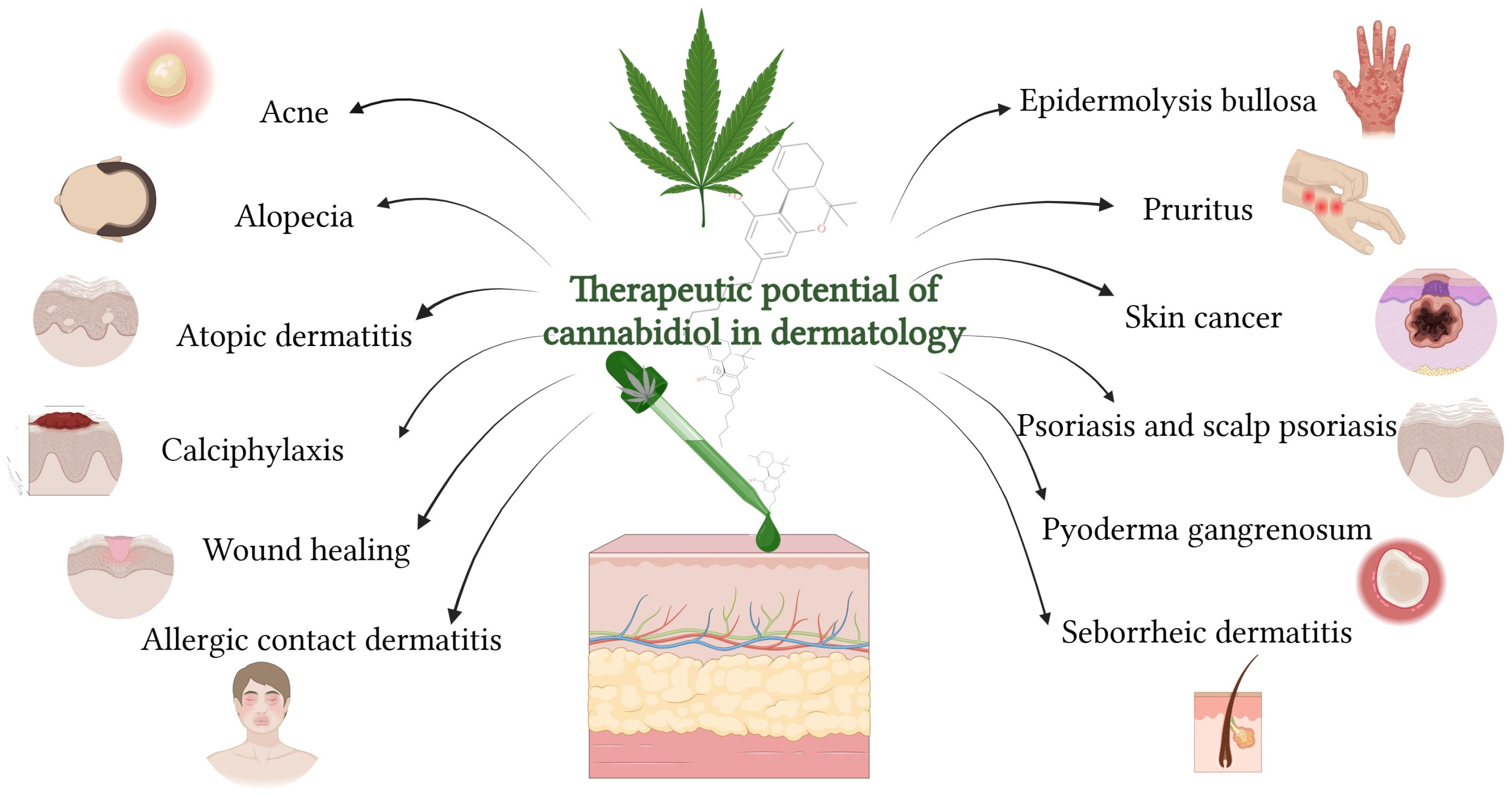 Biomolecules 15 01219 g006