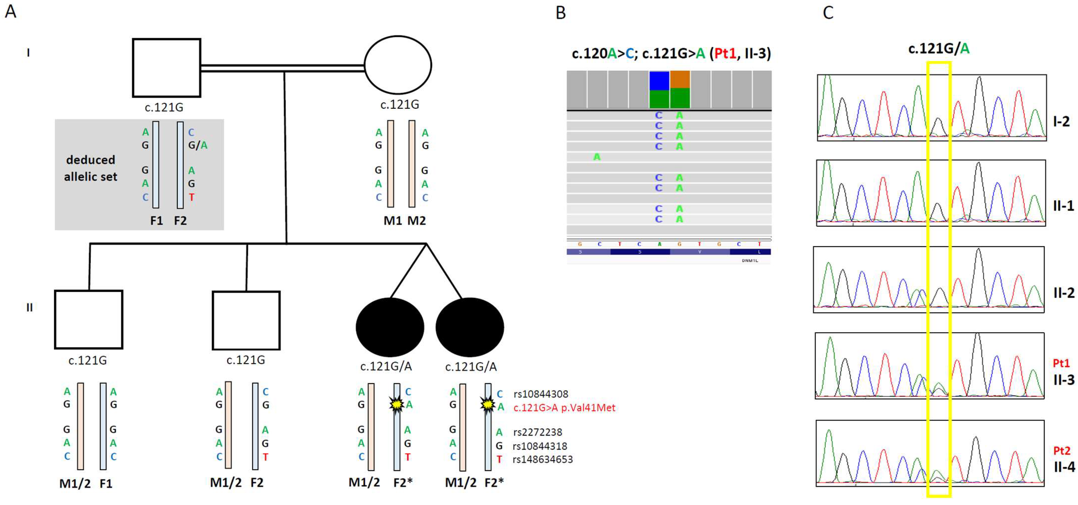 Biomolecules 15 01230 g001 Biomolecules 15 01230 g001