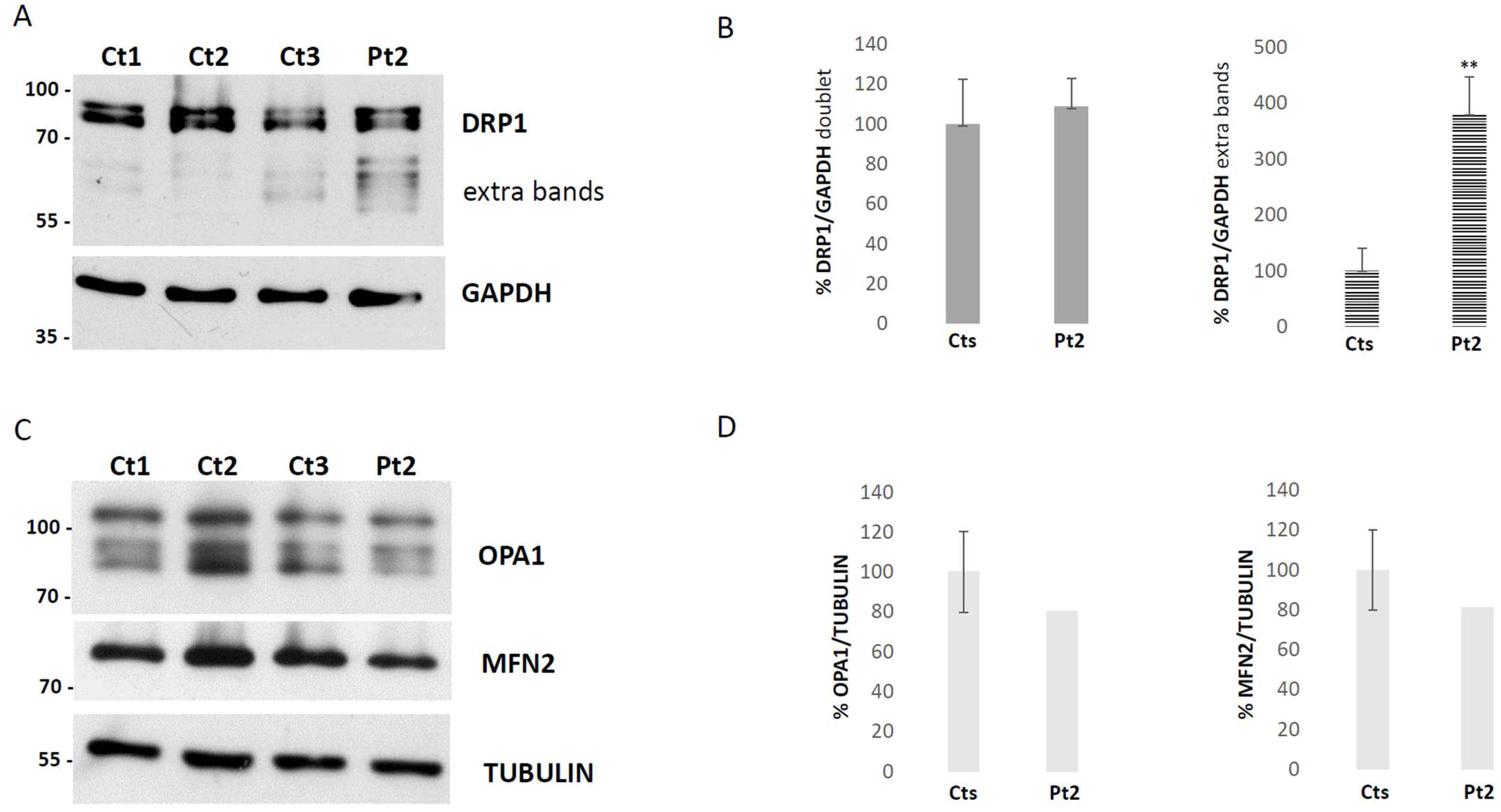 Biomolecules 15 01230 g002 Biomolecules 15 01230 g002