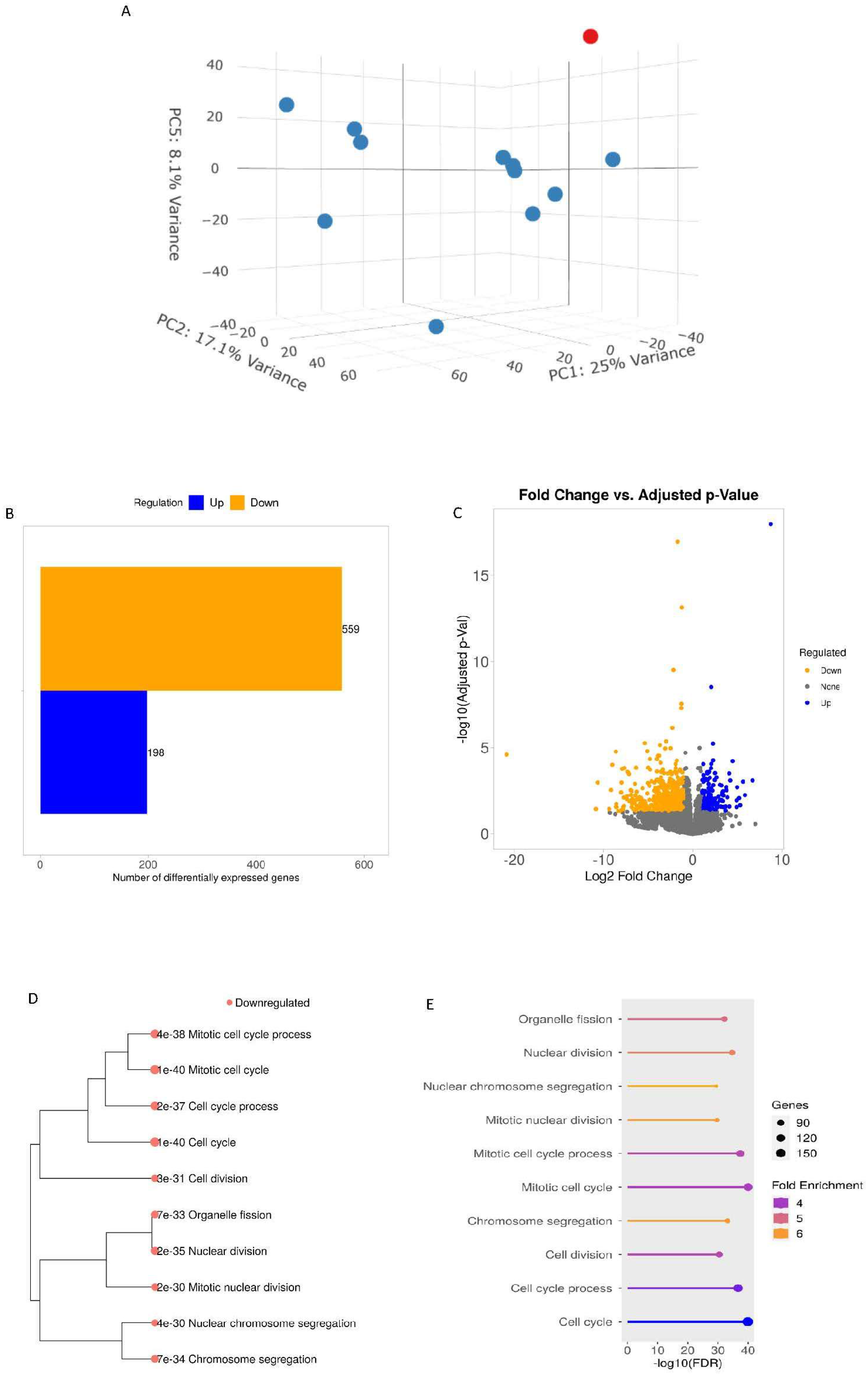 Biomolecules 15 01230 g004 Biomolecules 15 01230 g004