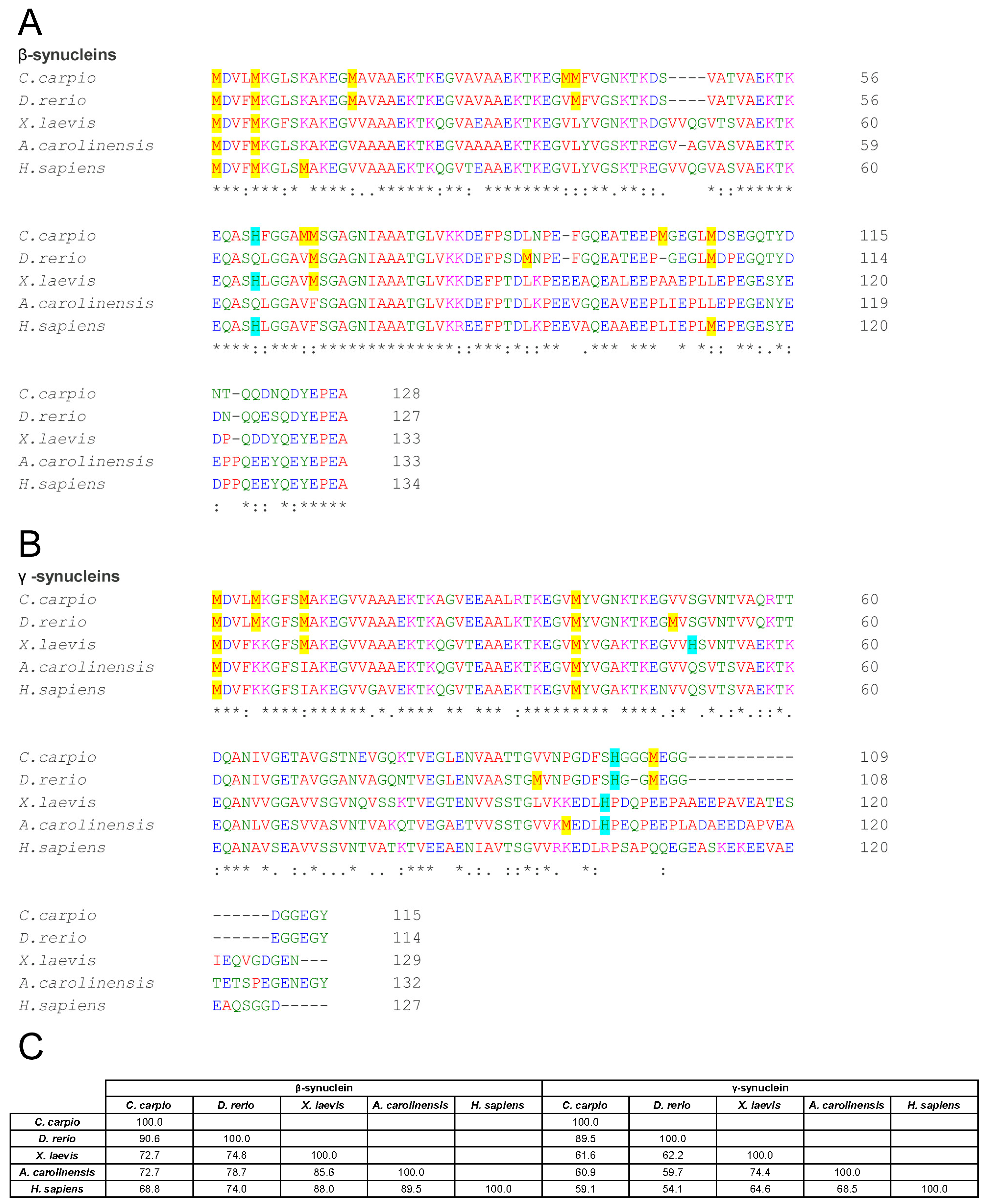 Biomolecules 15 01231 g001