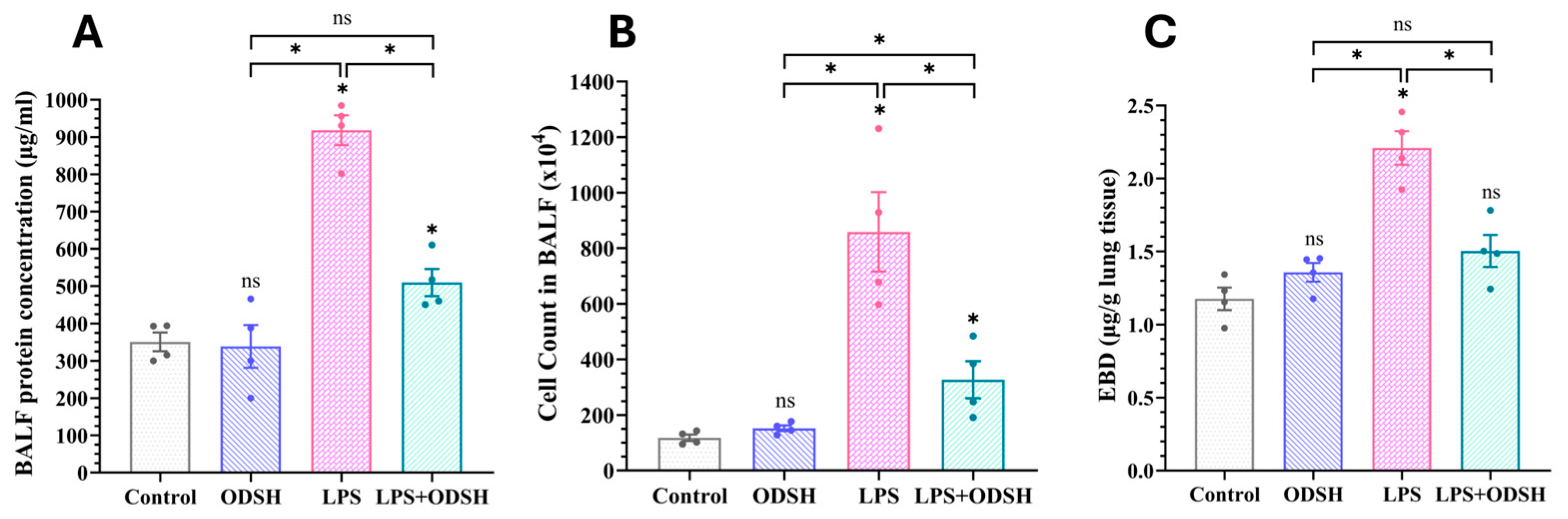 Biomolecules 15 01232 g001
