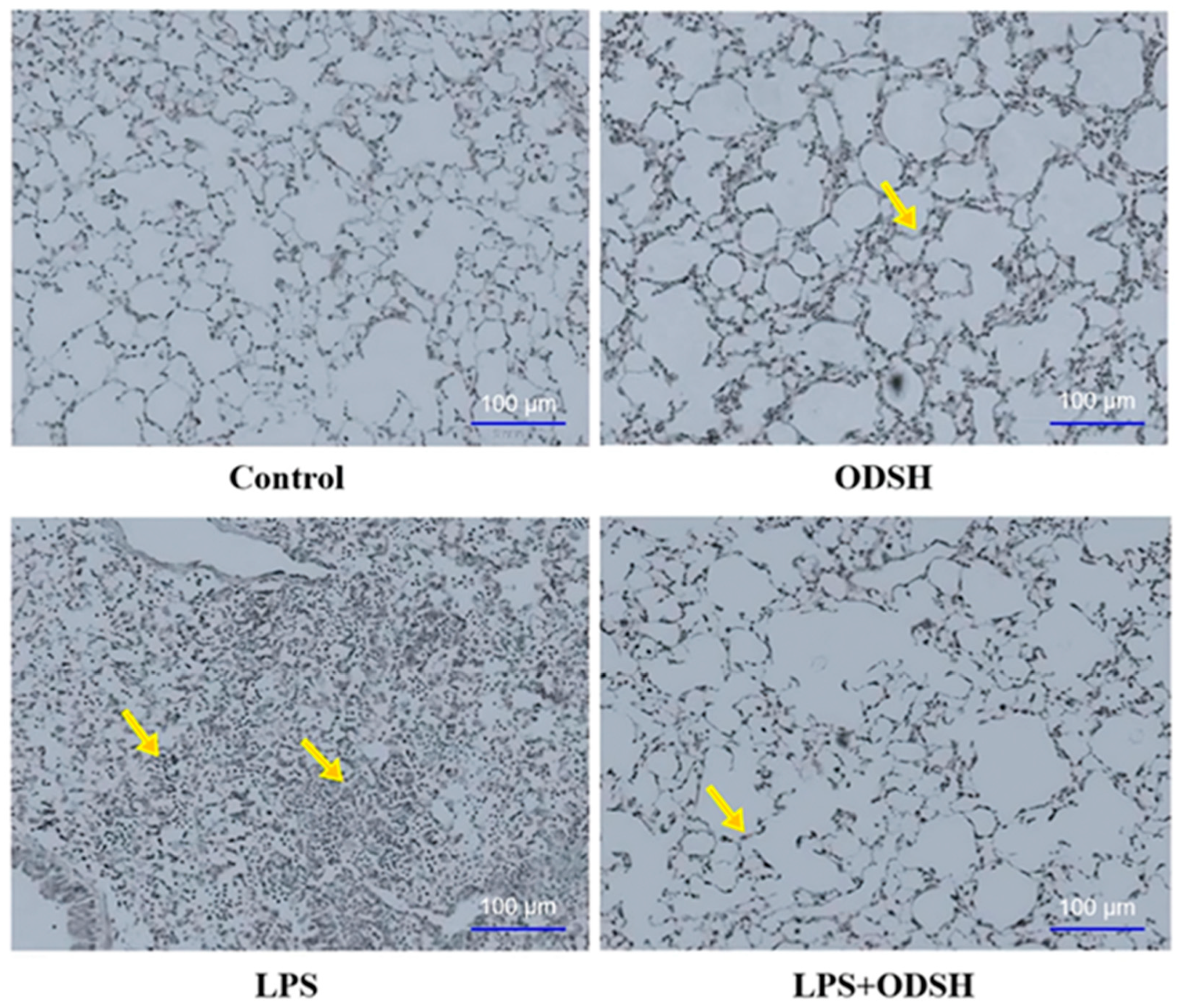 Biomolecules 15 01232 g003