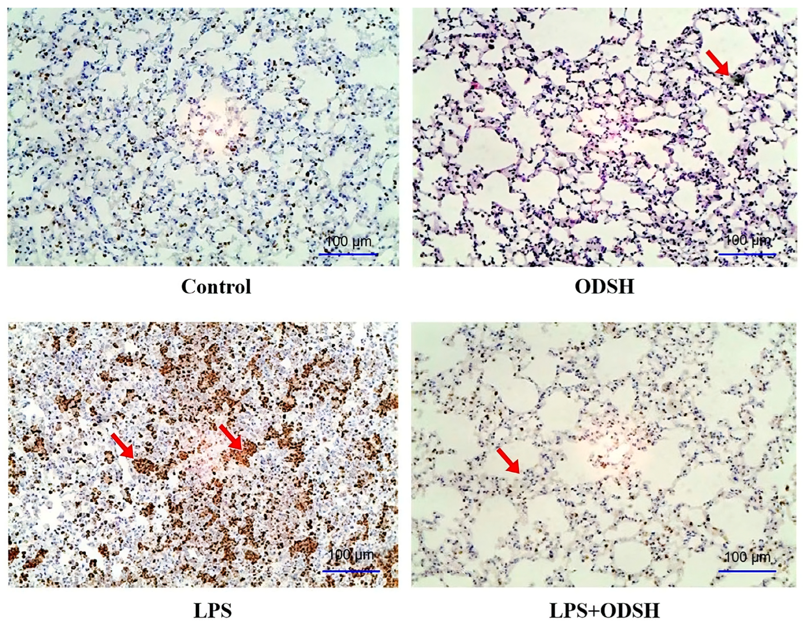 Biomolecules 15 01232 g004