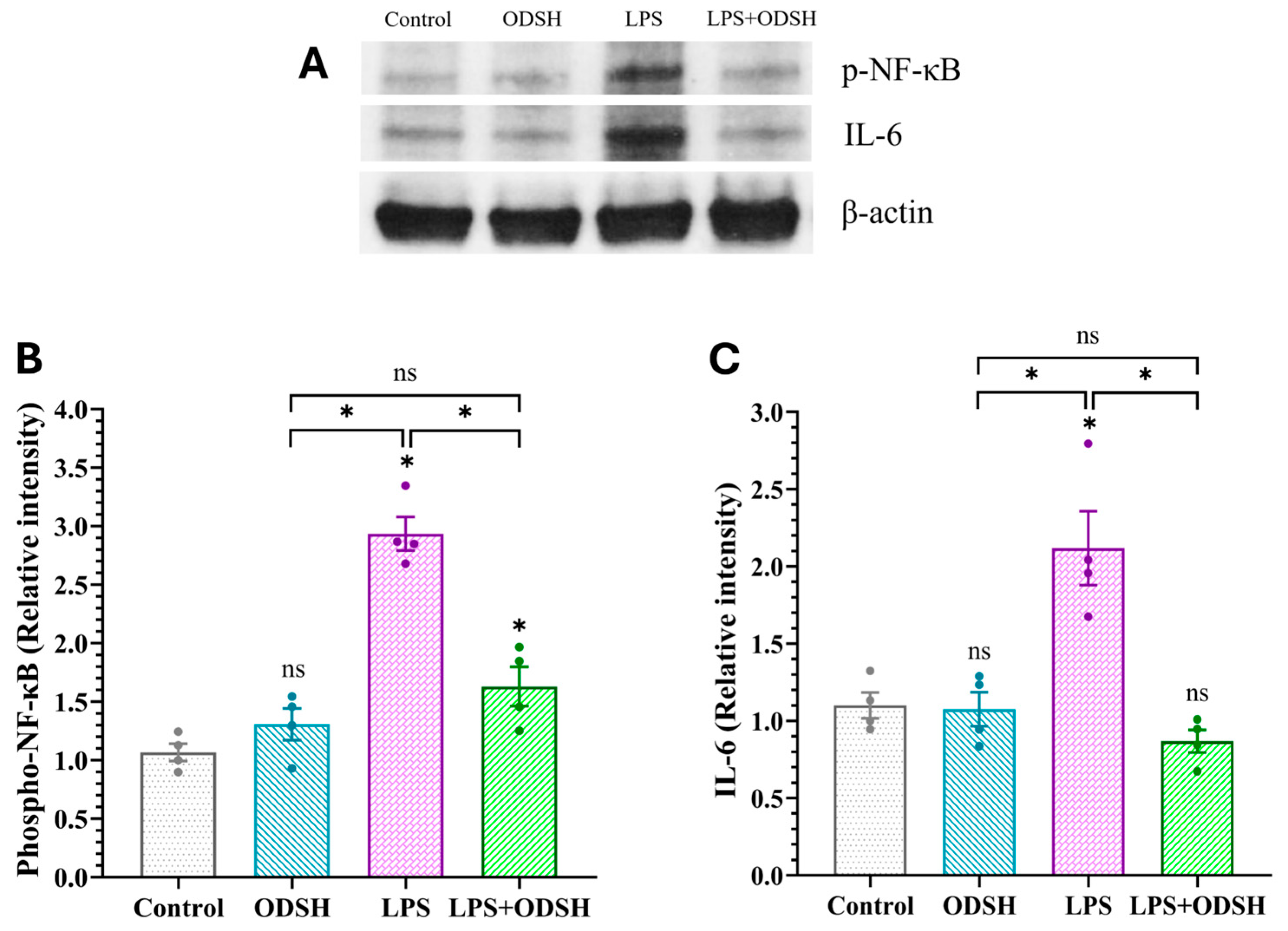 Biomolecules 15 01232 g006