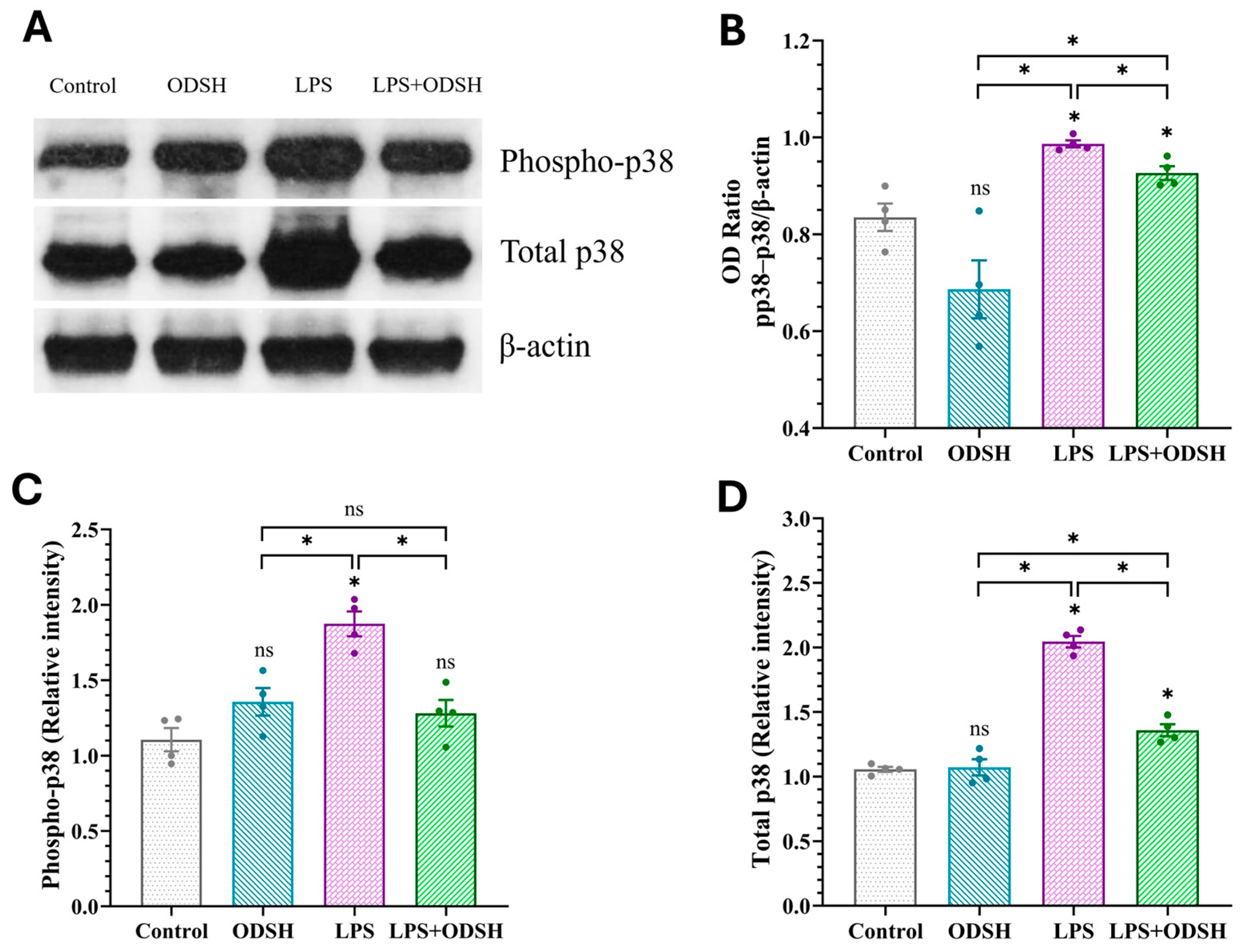 Biomolecules 15 01232 g007