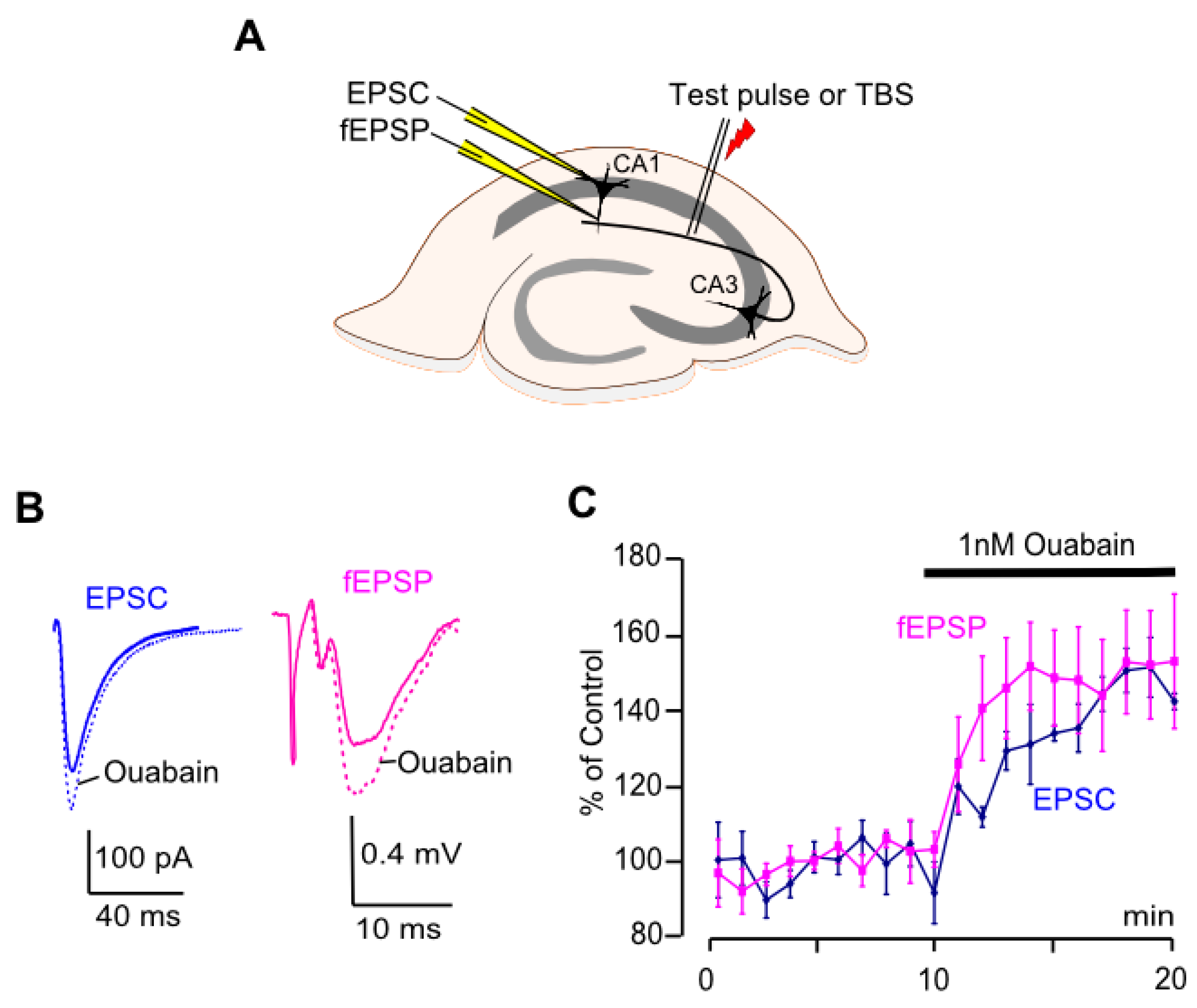 Biomolecules 15 01236 g001