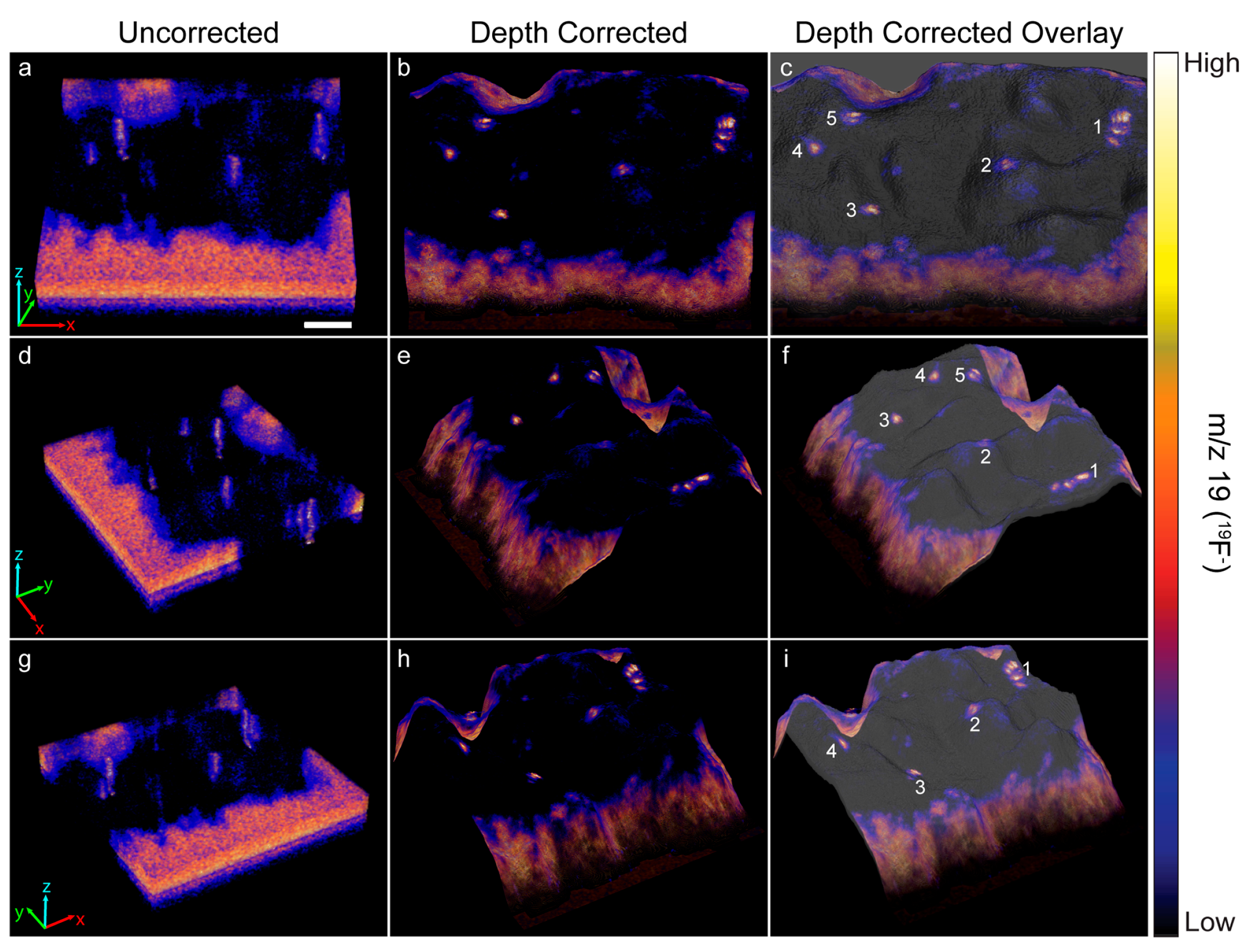 Biomolecules 15 01237 g003