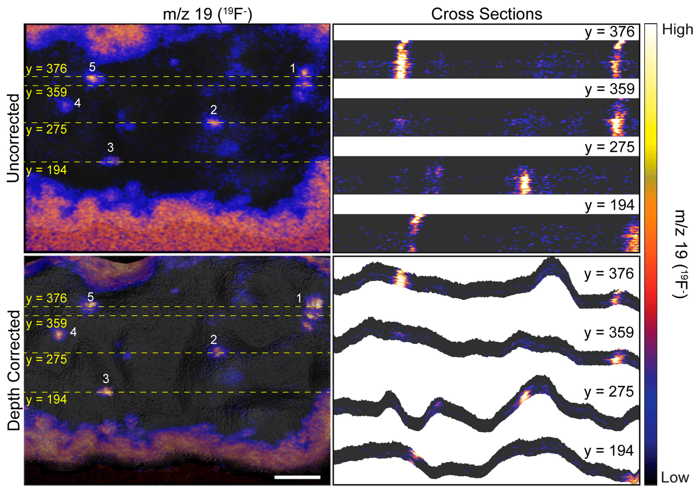 Biomolecules 15 01237 g004