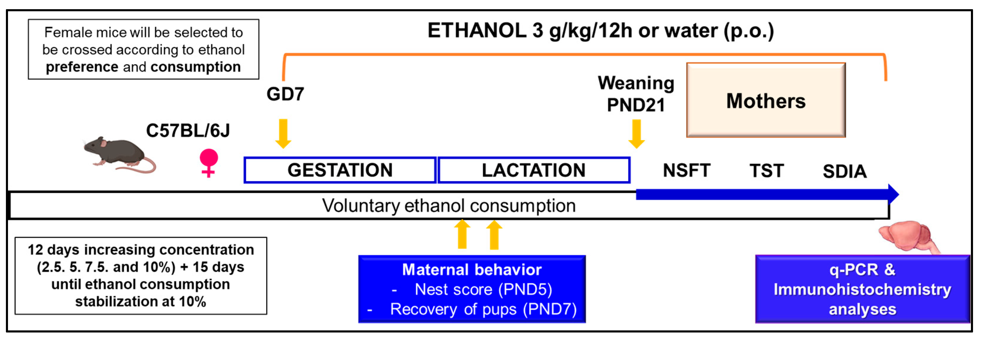 Biomolecules 15 01239 g001 Biomolecules 15 01239 g001