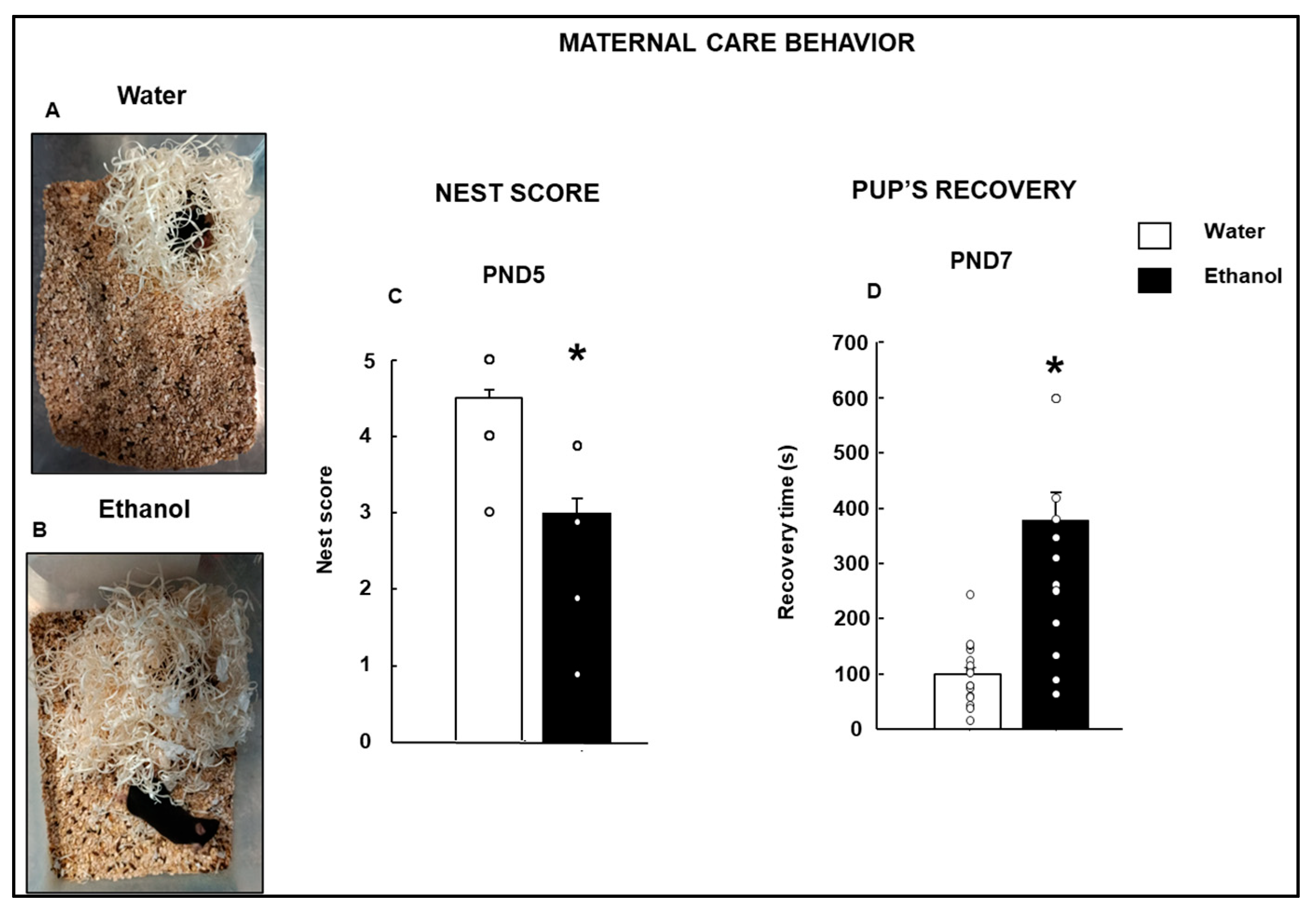 Biomolecules 15 01239 g002 Biomolecules 15 01239 g002