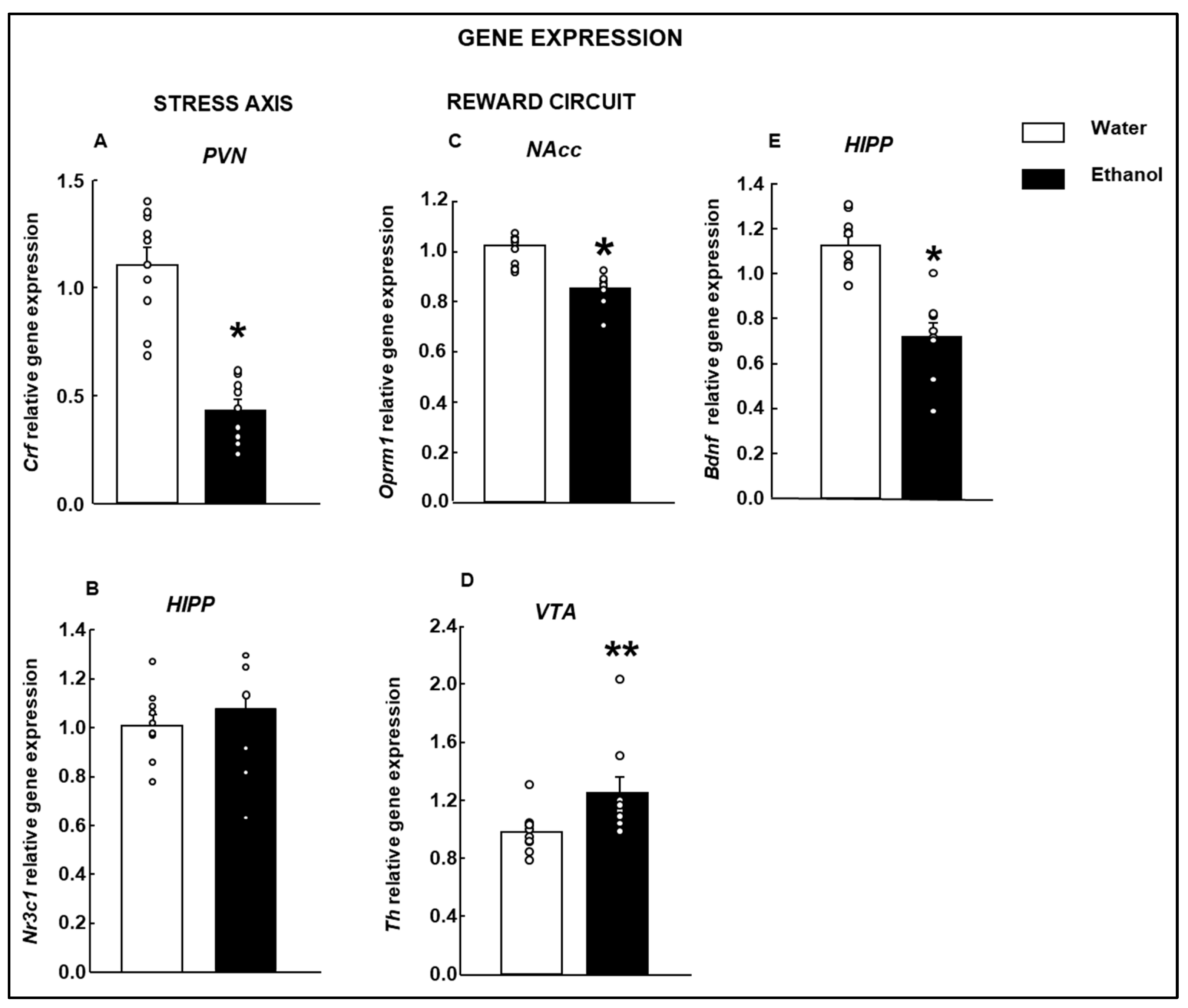Biomolecules 15 01239 g004 Biomolecules 15 01239 g004