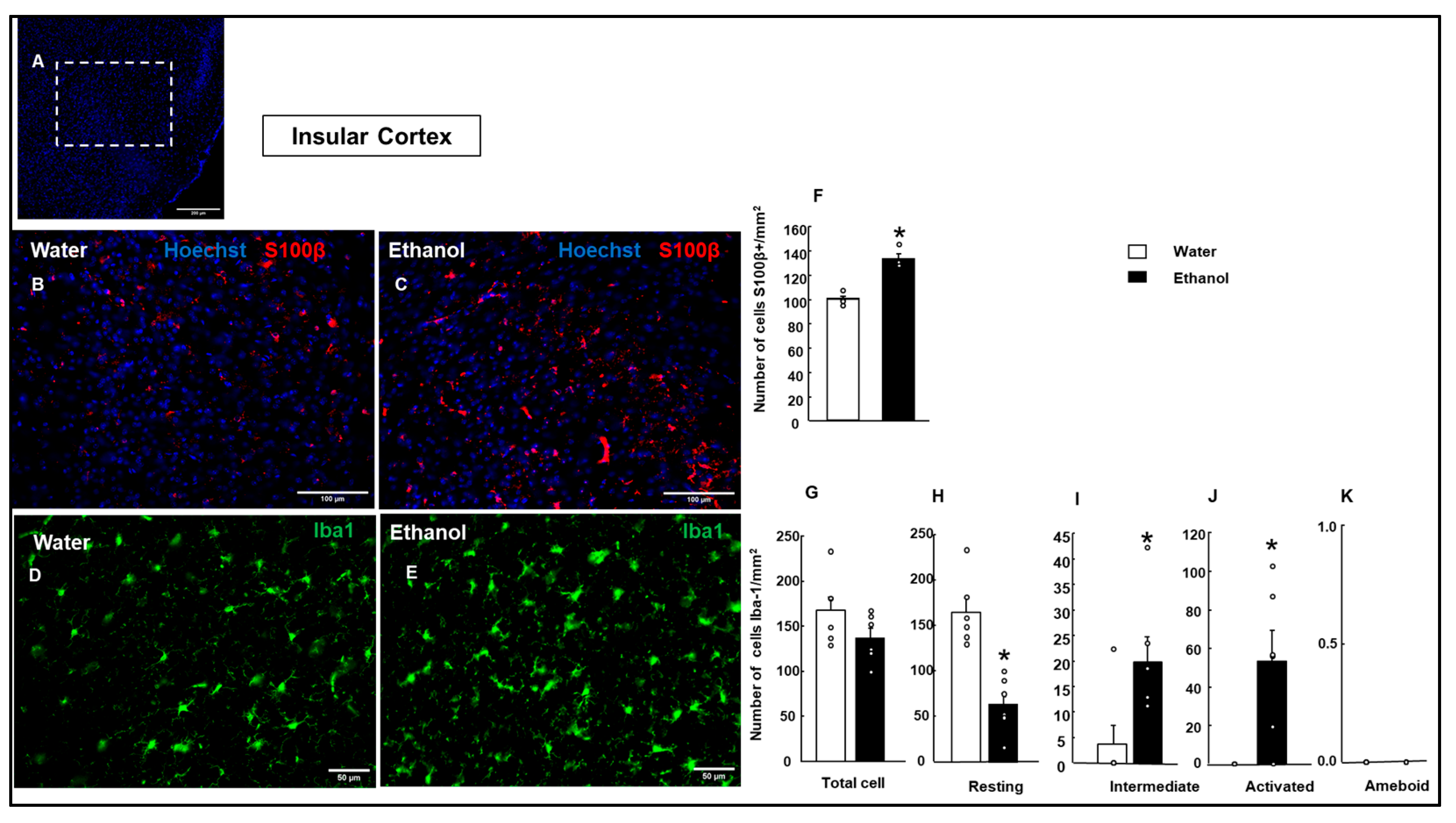 Biomolecules 15 01239 g005 Biomolecules 15 01239 g005