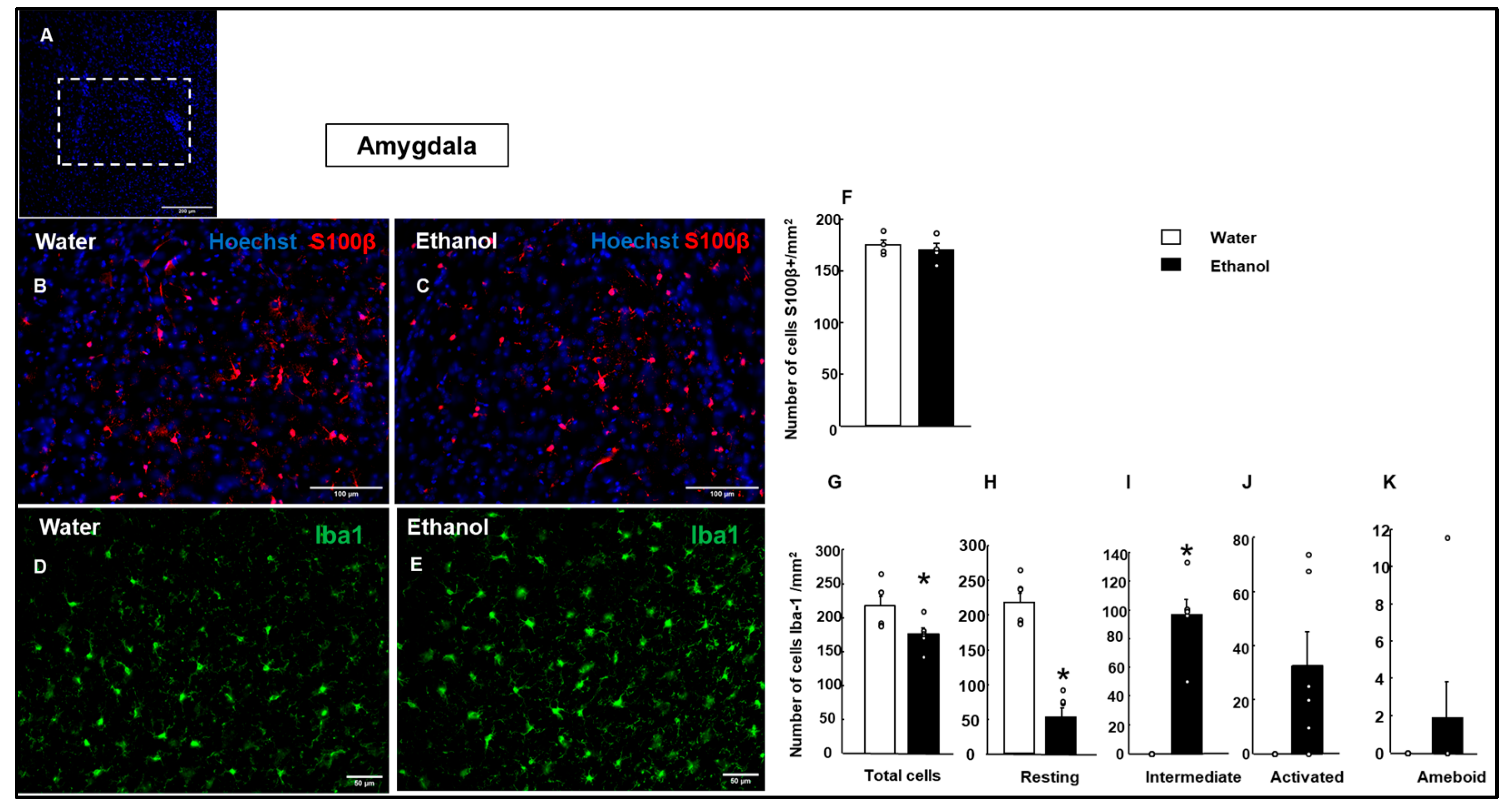 Biomolecules 15 01239 g006 Biomolecules 15 01239 g006