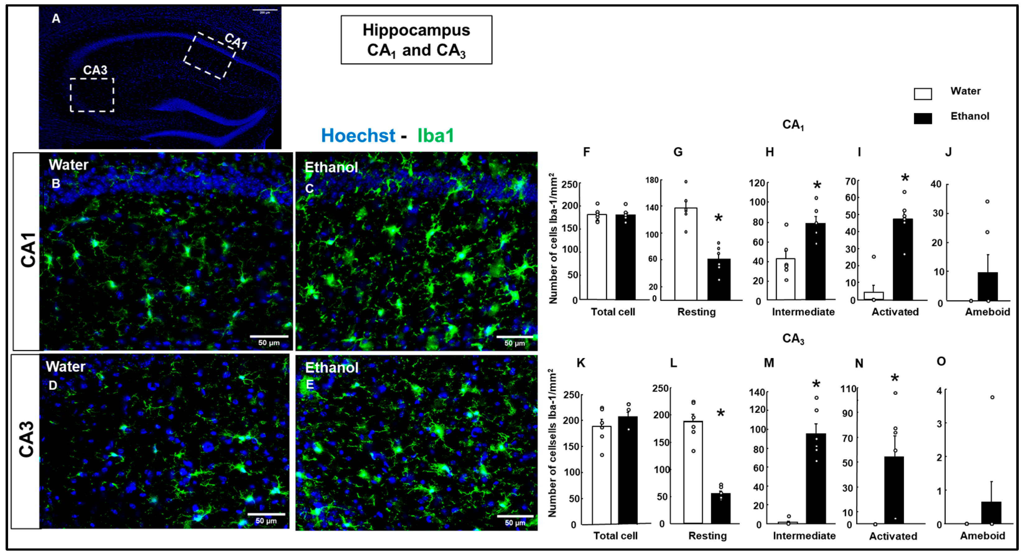 Biomolecules 15 01239 g009 Biomolecules 15 01239 g009