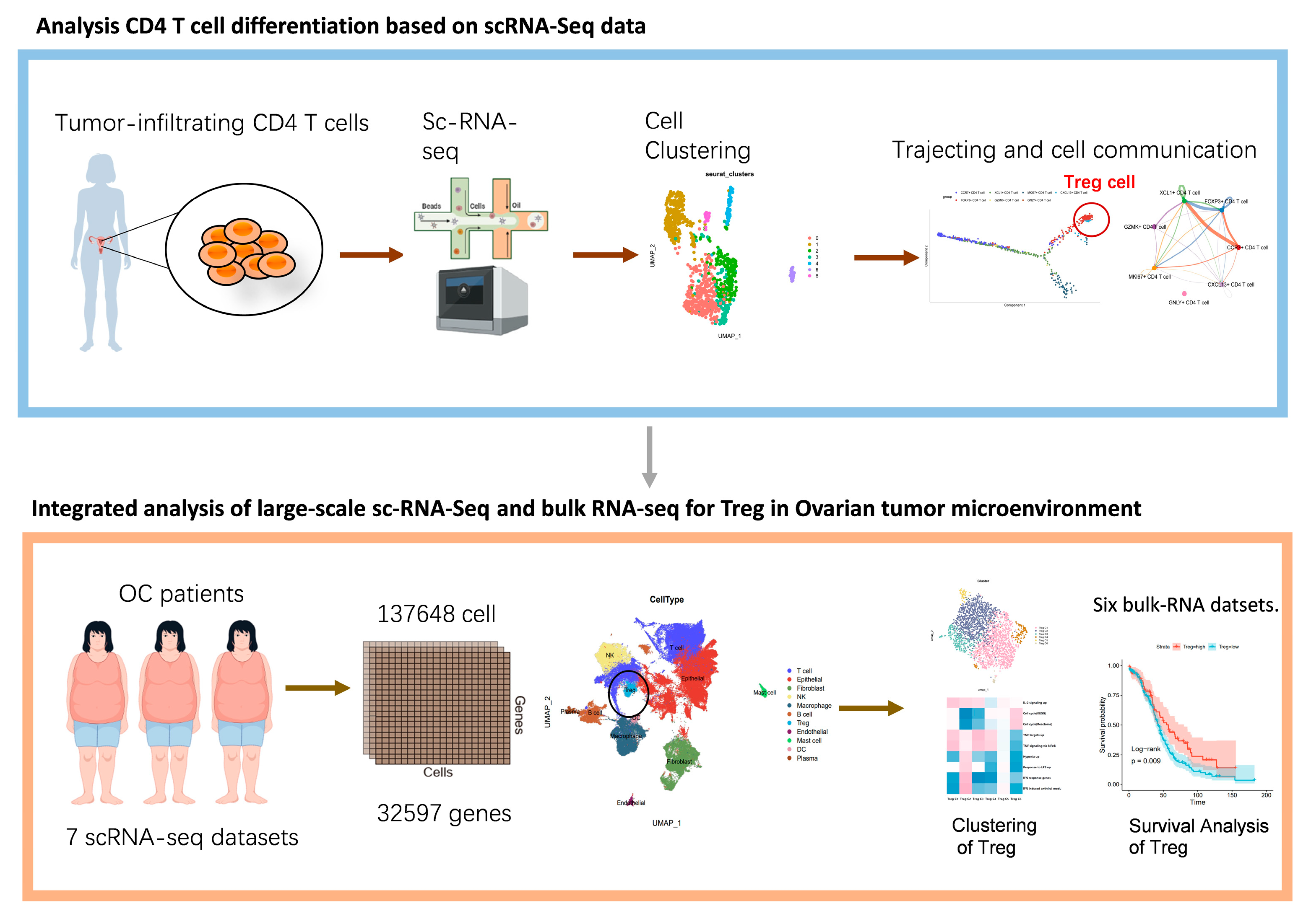 Biomolecules 15 01241 g001 Biomolecules 15 01241 g001