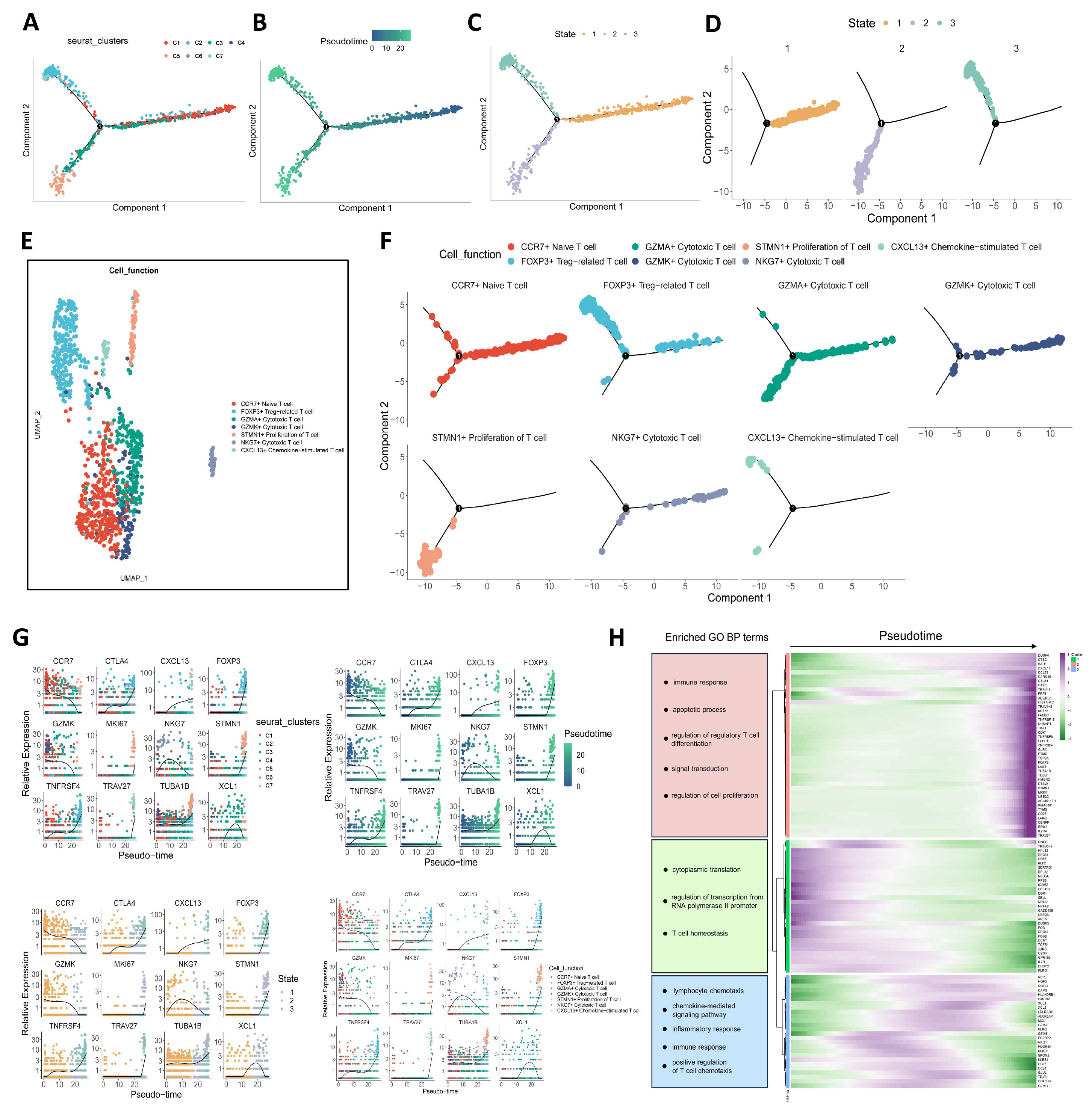 Biomolecules 15 01241 g003 Biomolecules 15 01241 g003