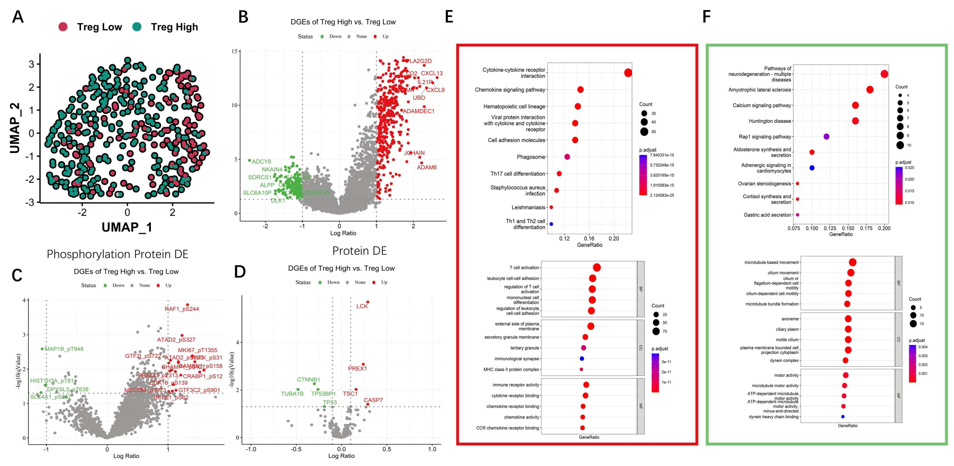 Biomolecules 15 01241 g006 Biomolecules 15 01241 g006