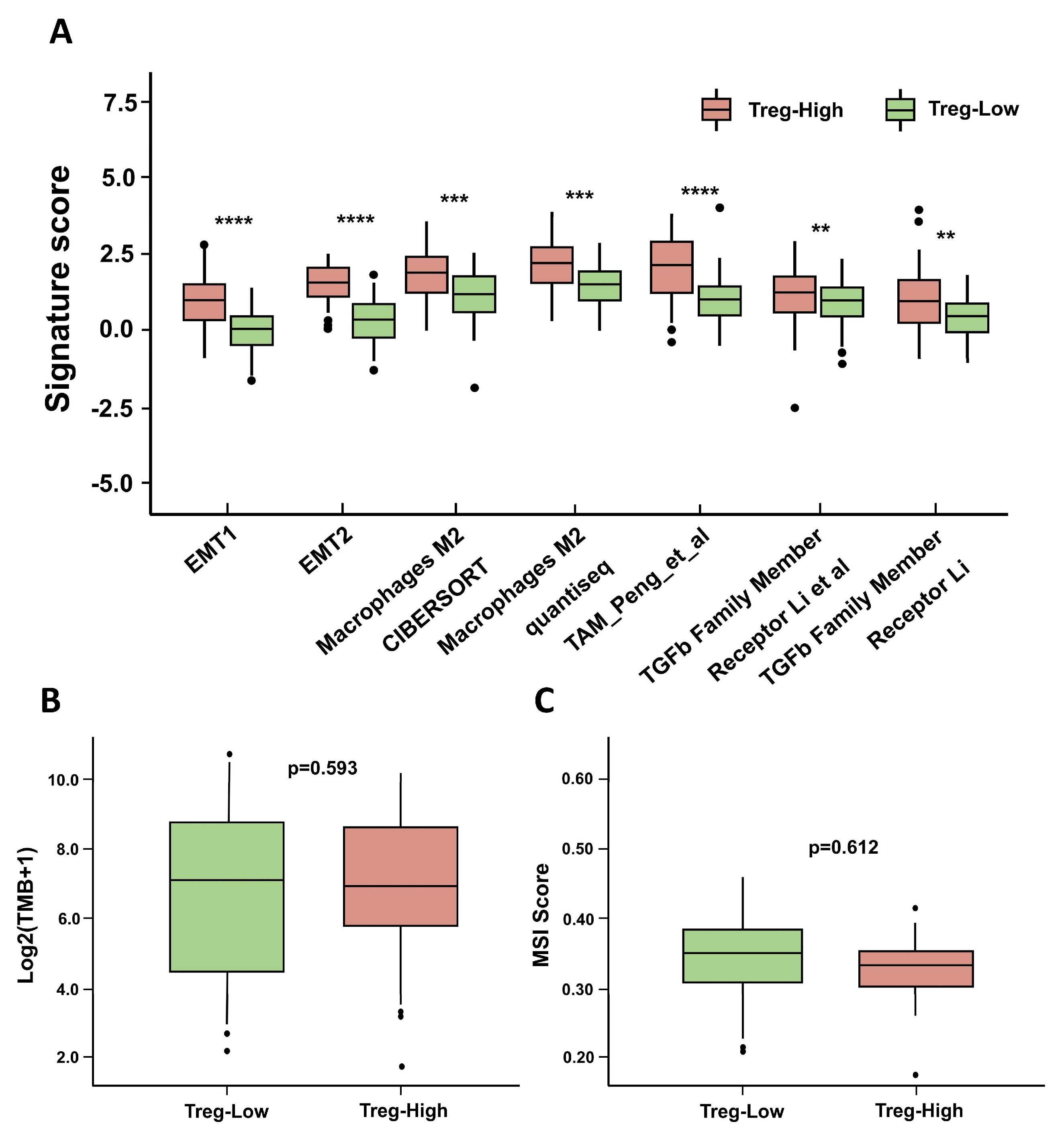 Biomolecules 15 01241 g009 Biomolecules 15 01241 g009