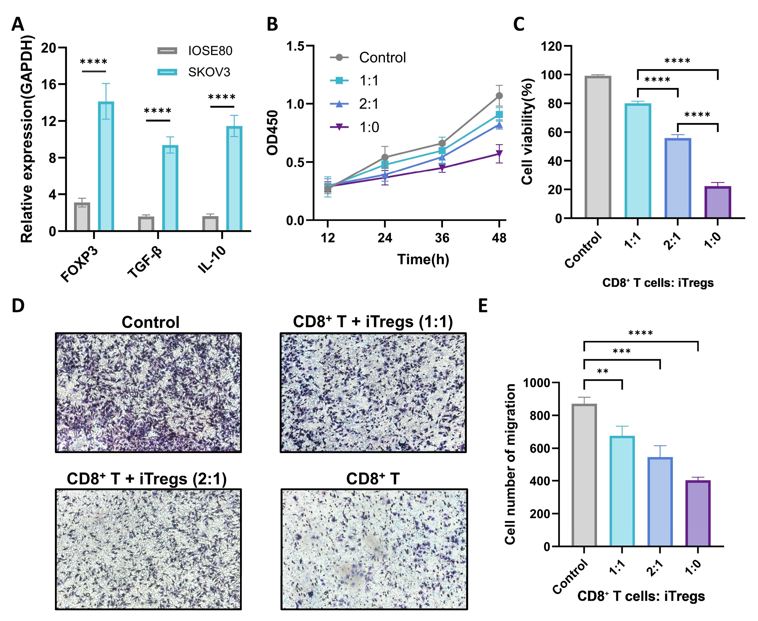 Biomolecules 15 01241 g012 Biomolecules 15 01241 g012