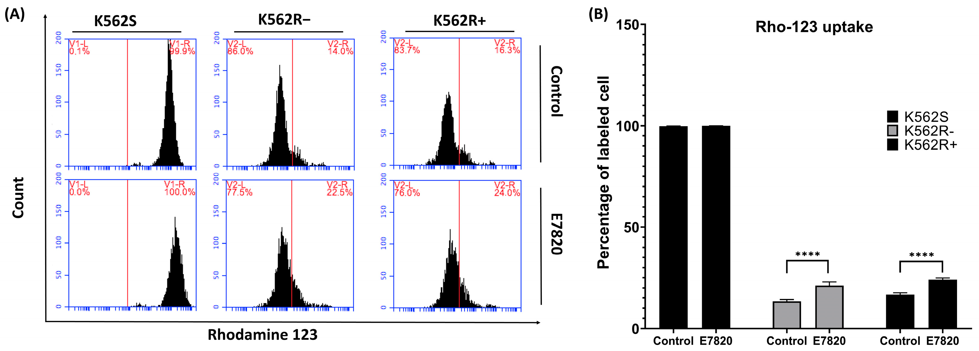 Biomolecules 15 01245 g006 Biomolecules 15 01245 g006