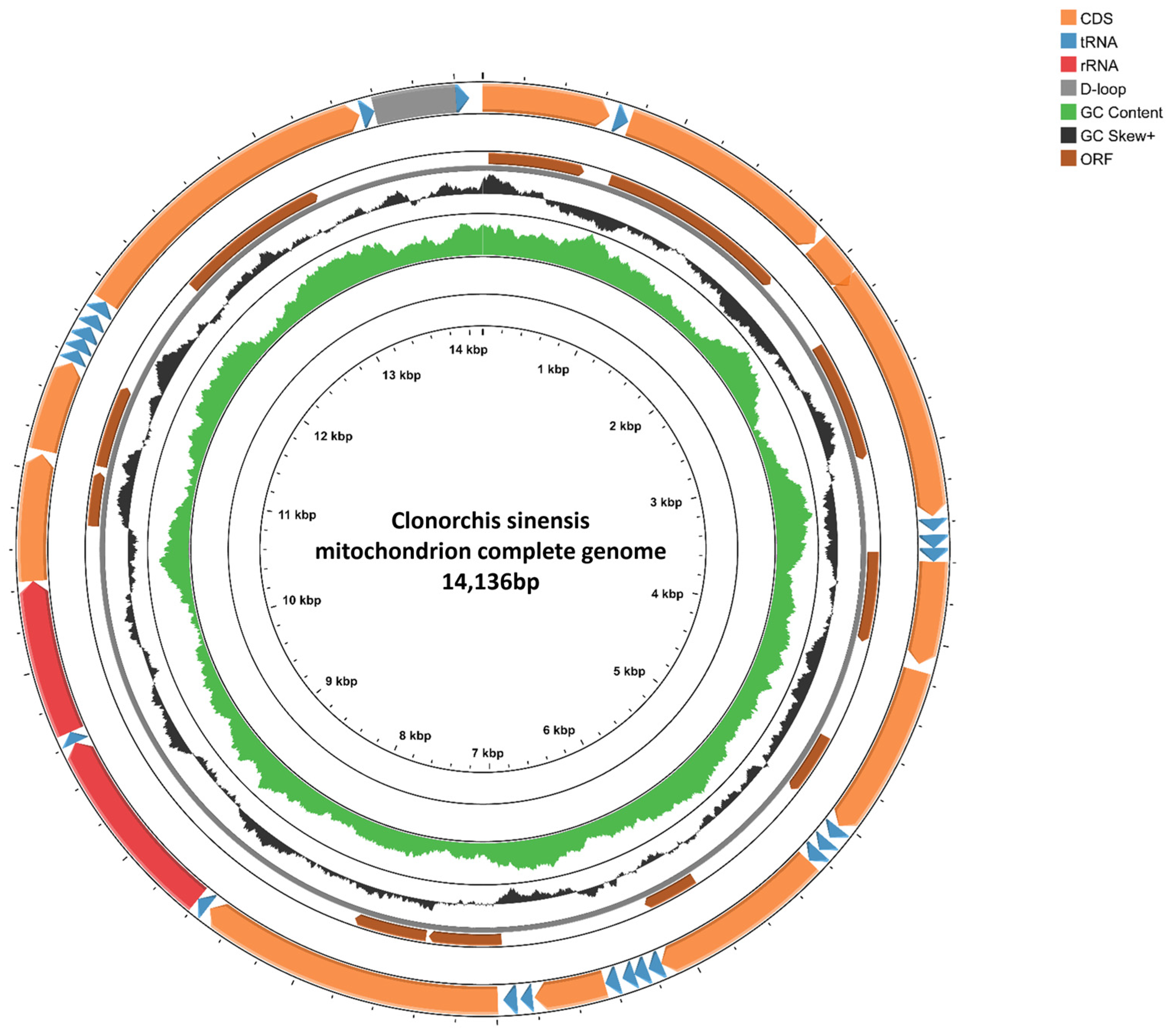 Biomolecules 15 01246 g001 Biomolecules 15 01246 g001