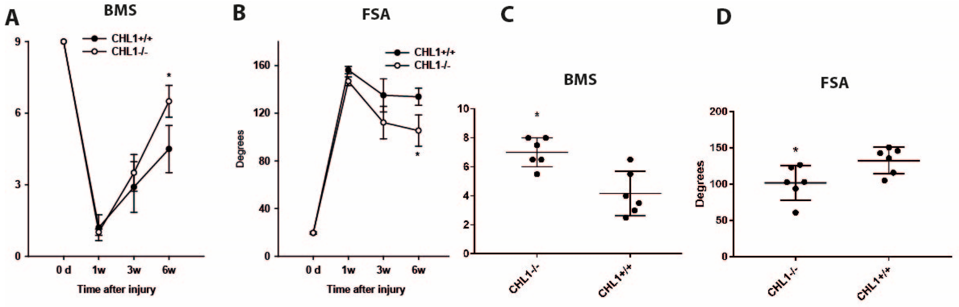 Biomolecules 15 01247 g001