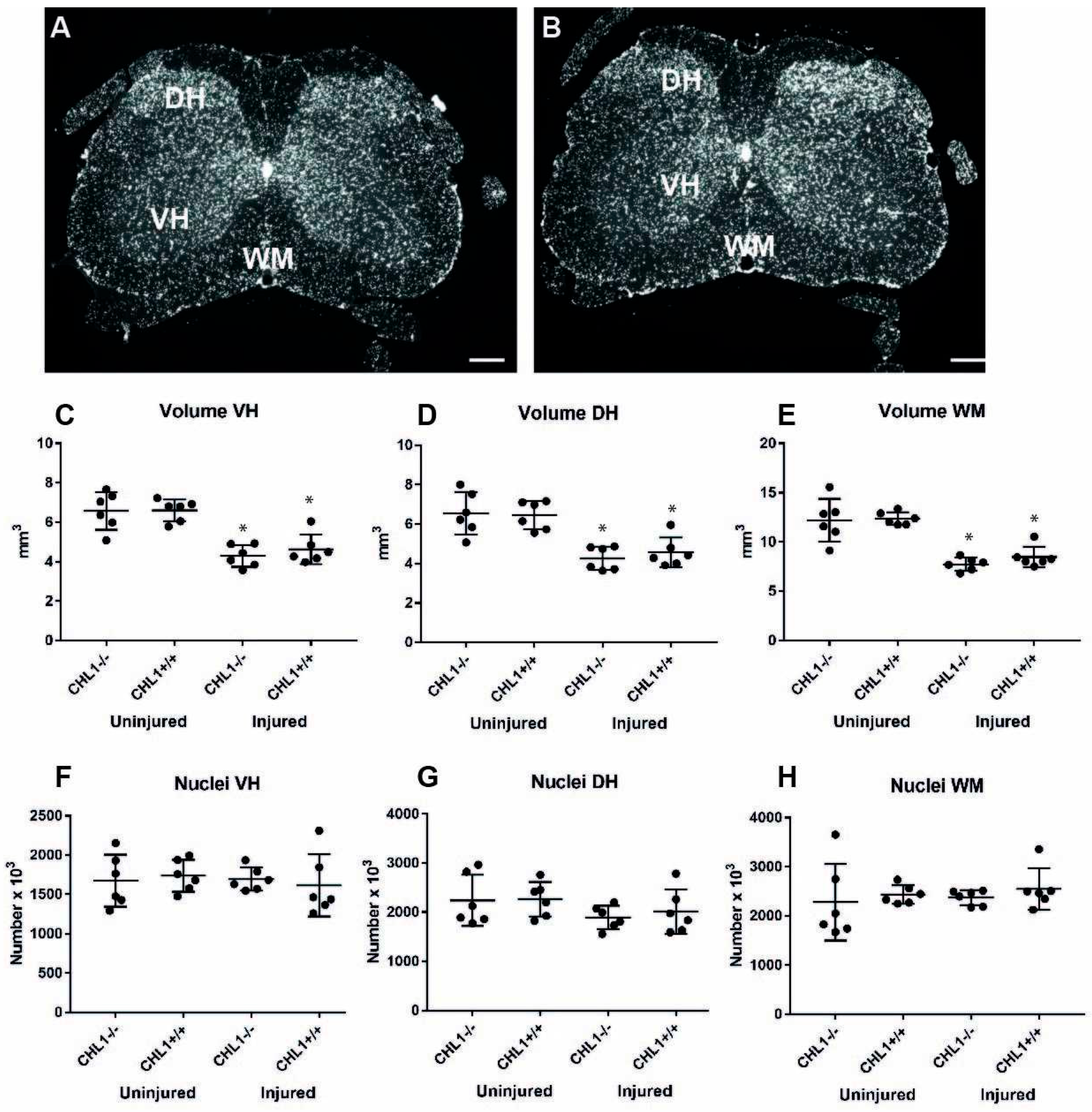 Biomolecules 15 01247 g002