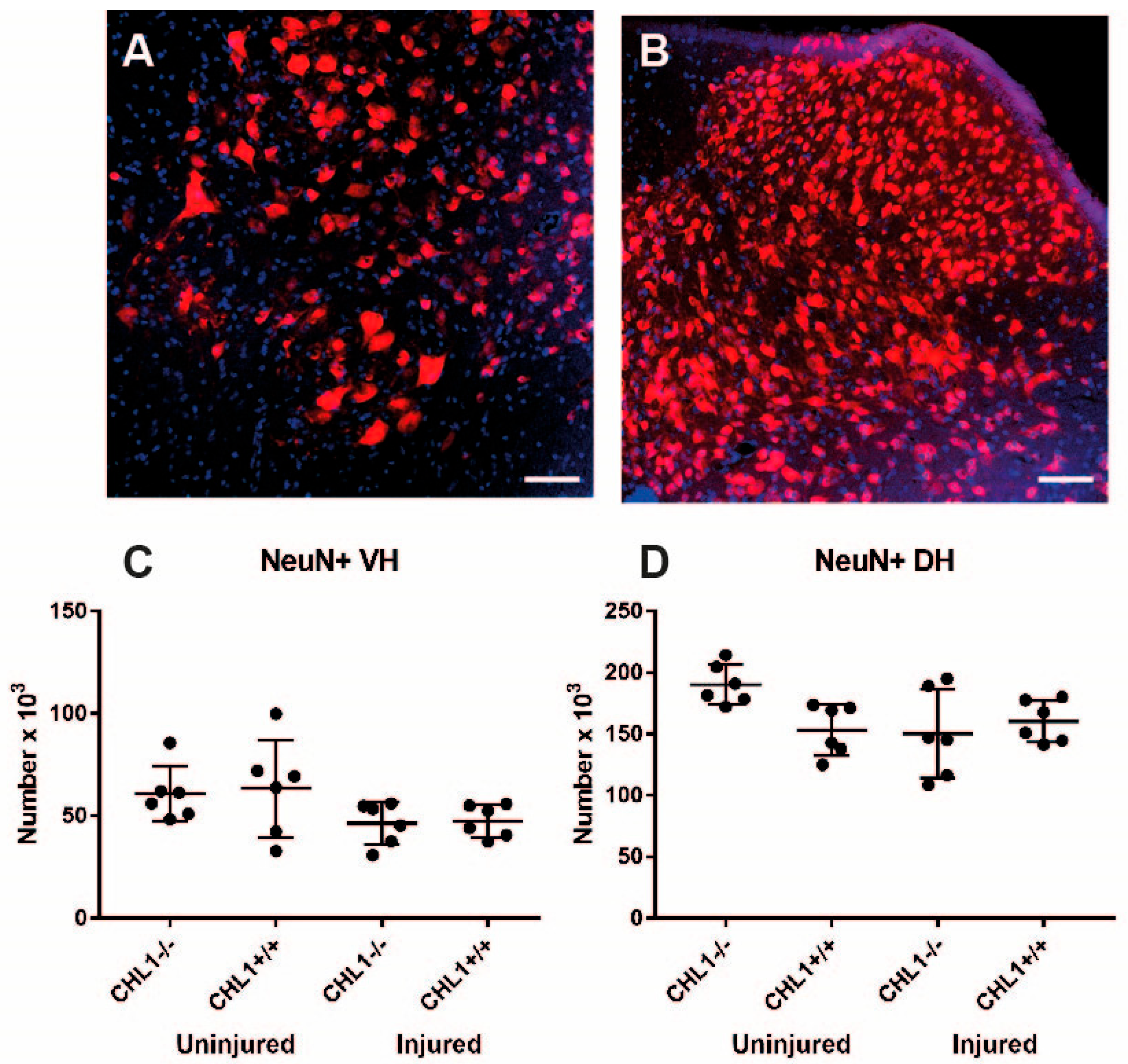 Biomolecules 15 01247 g003